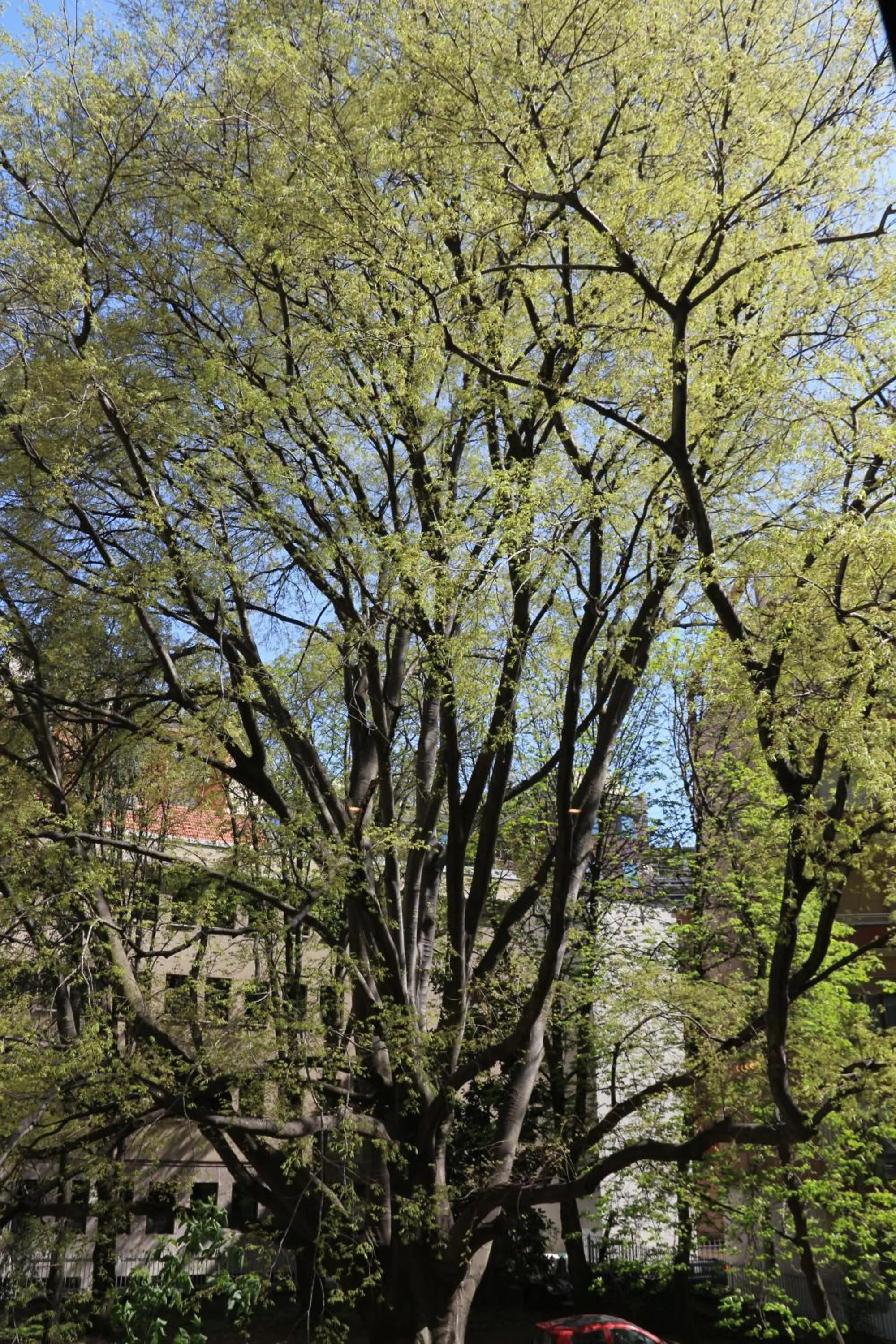 Nearby landmark in Serendipity Rooms