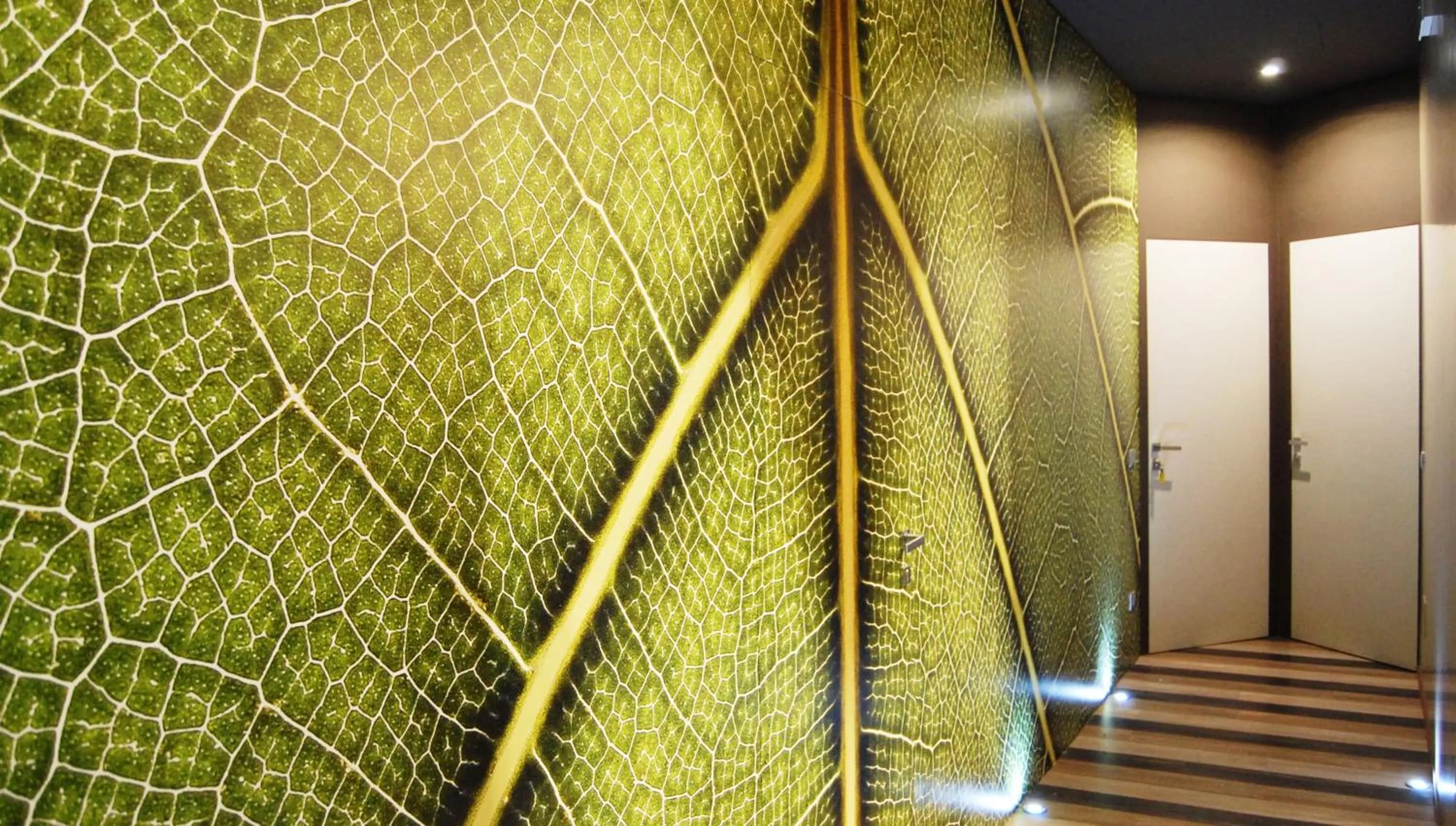 Decorative detail in Serendipity Rooms