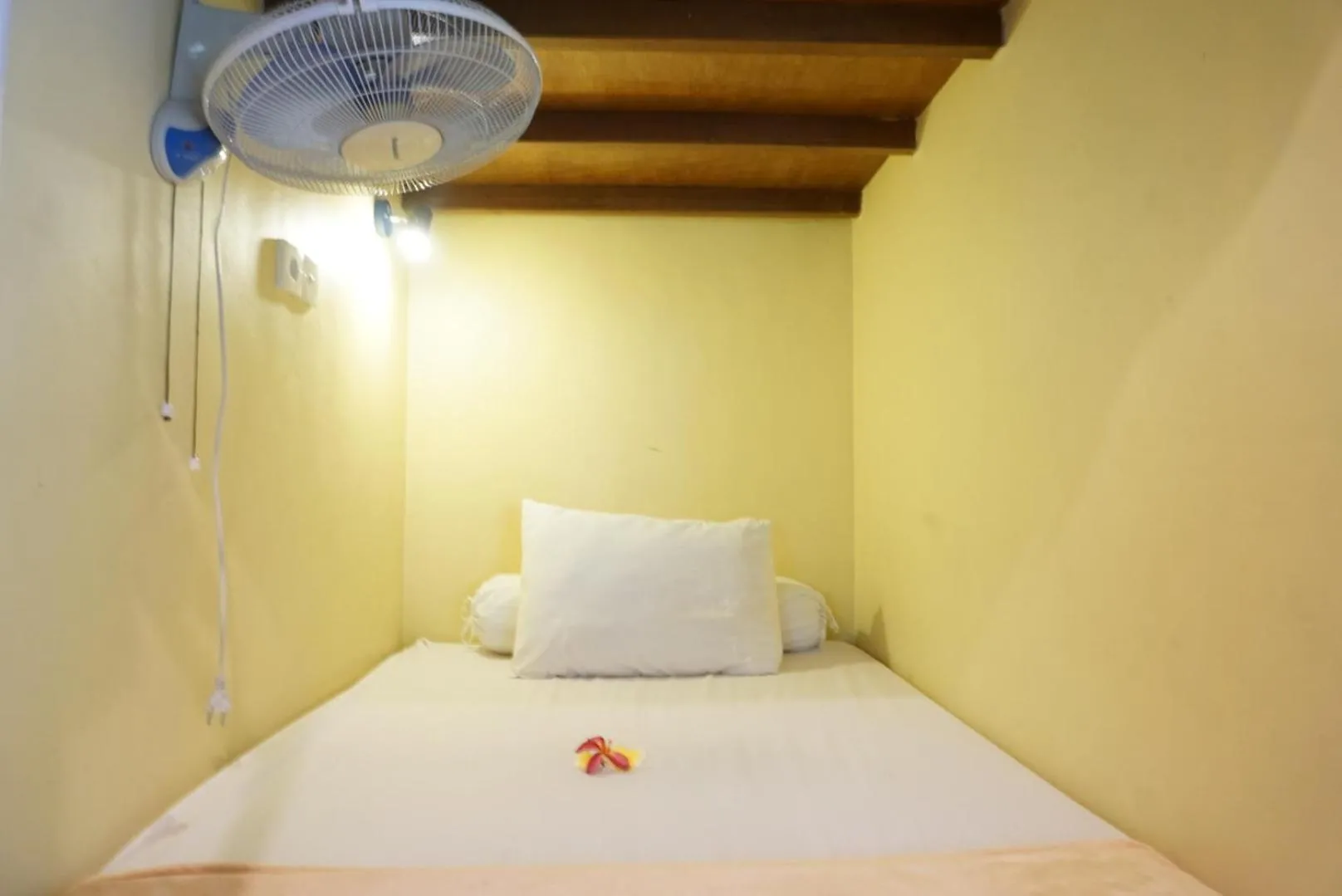 Single Bed in 6-Bed Dormitory Room in Sila Urip Guest House