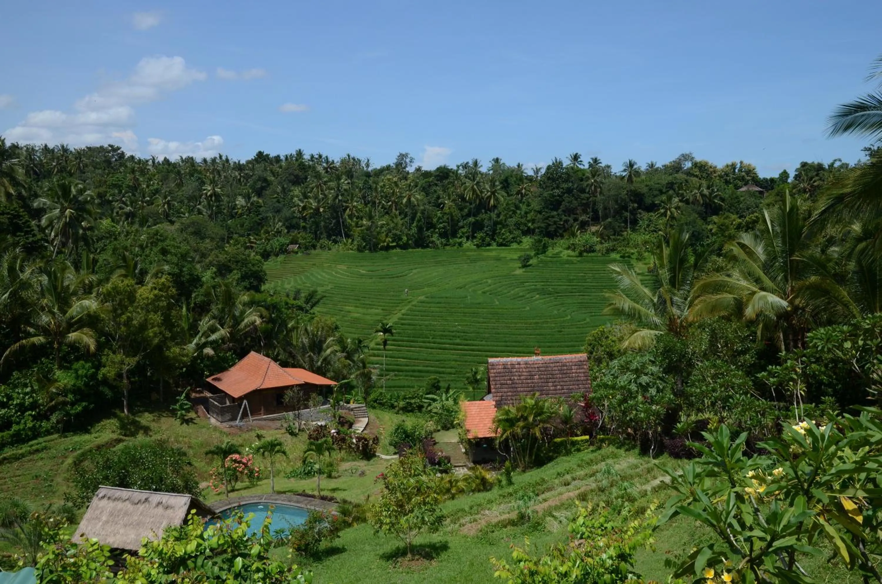 Bird's eye view in Bali Lush