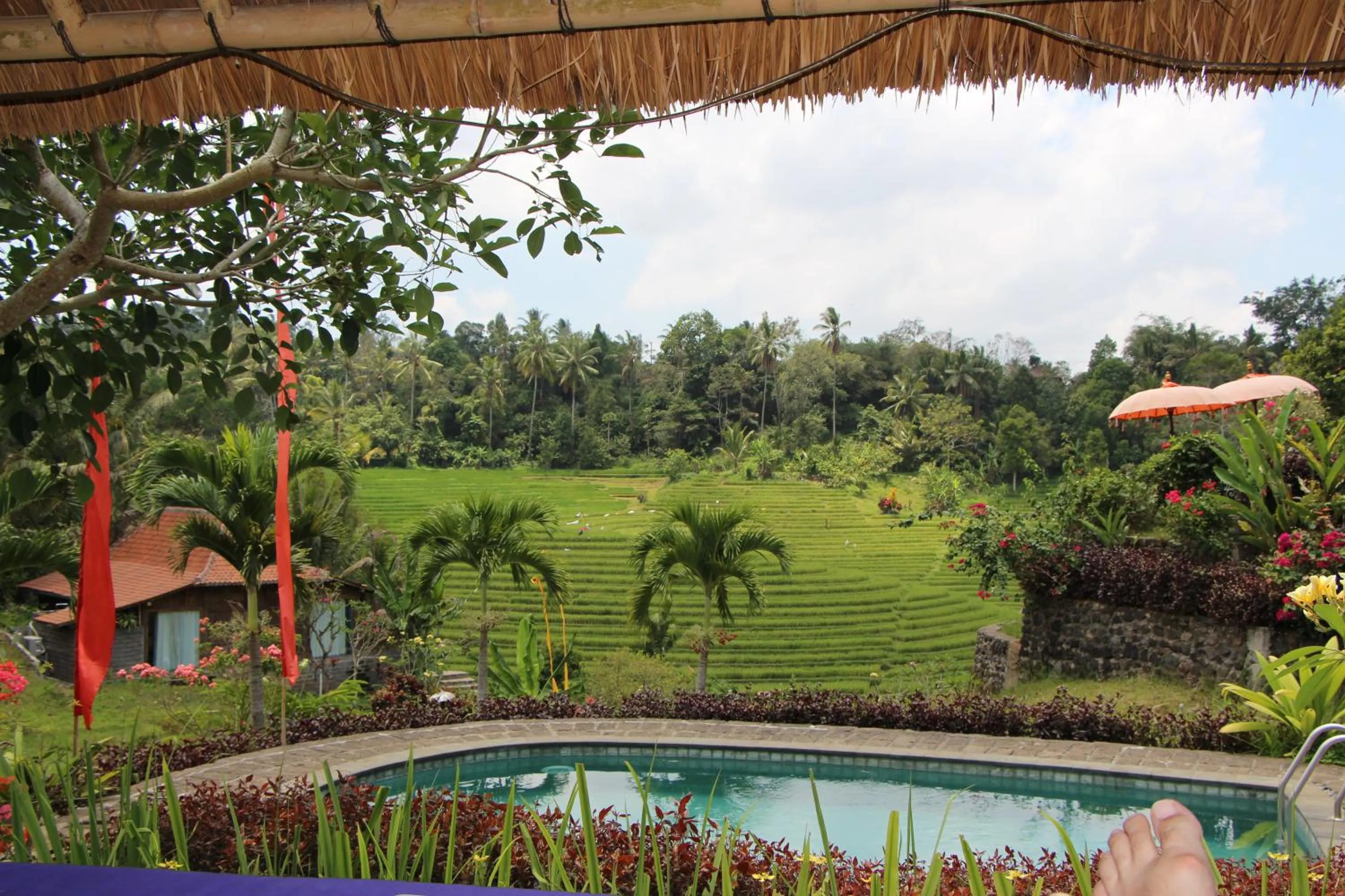 Garden view in Bali Lush