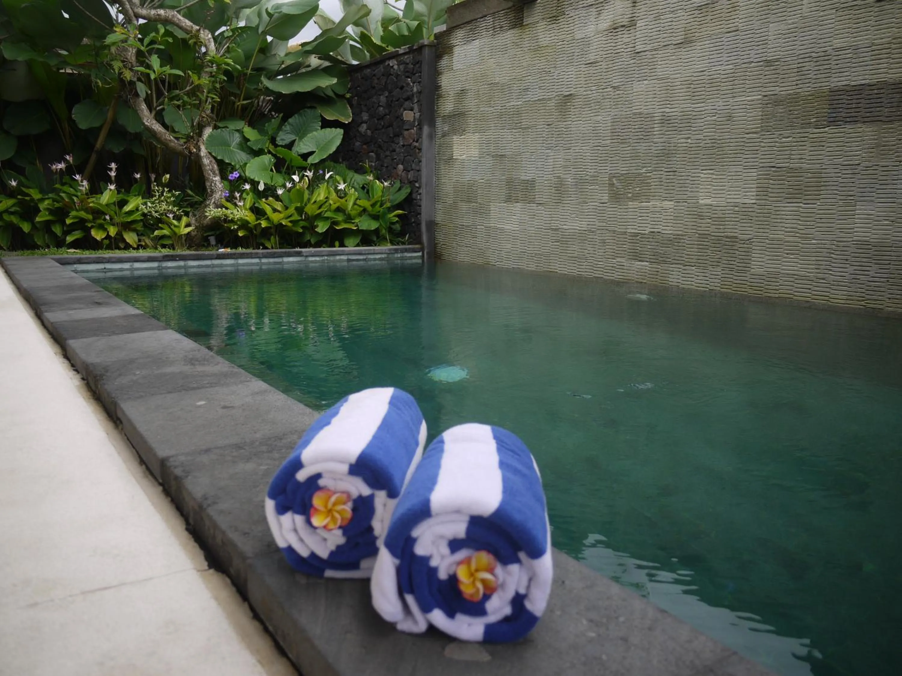 Pool view in Rumah Dadong