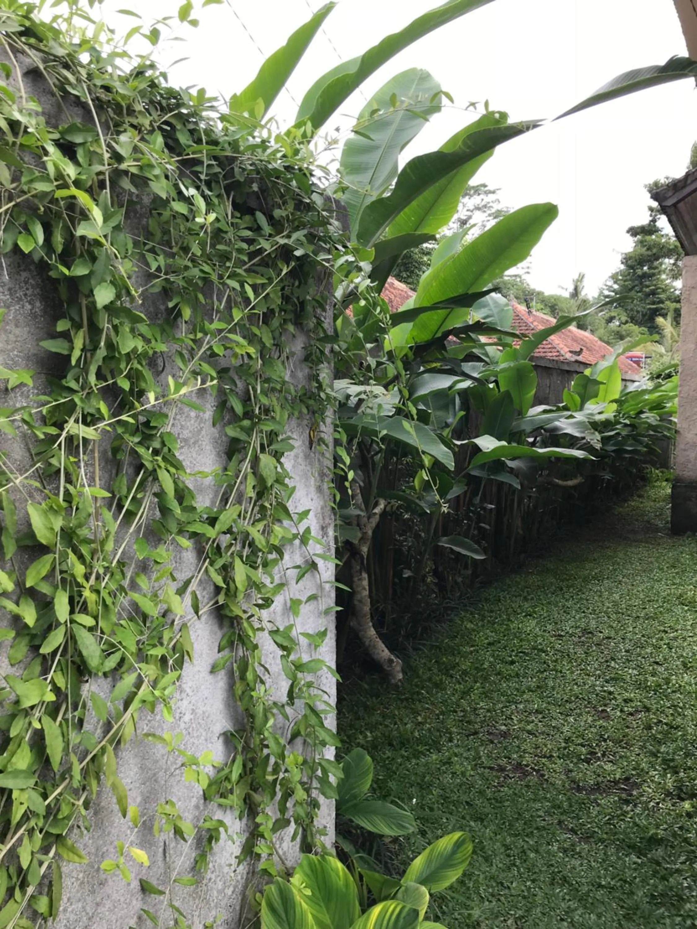 Natural landscape in Rumah Dadong