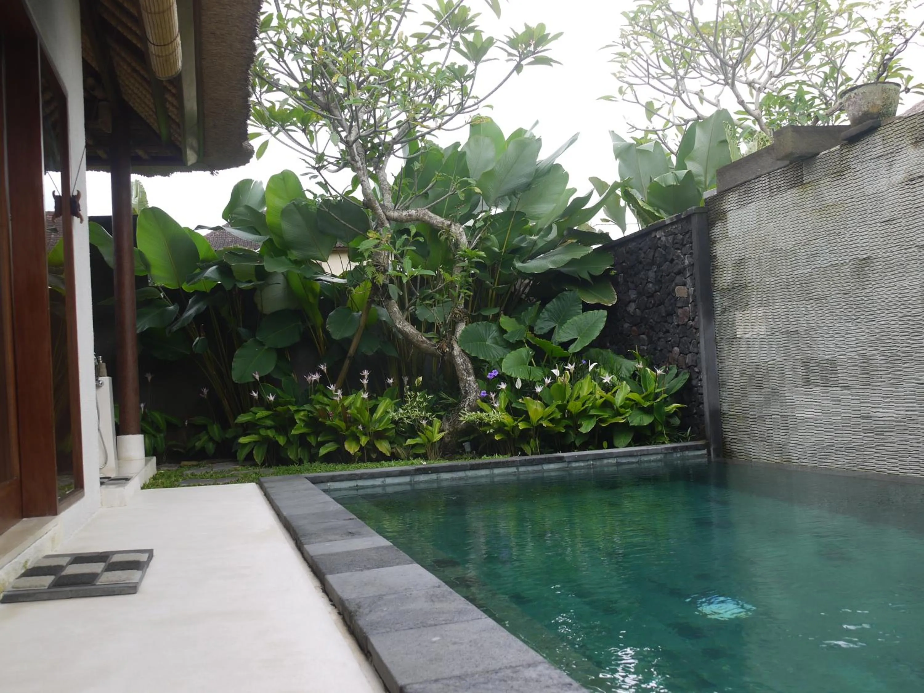 Garden view in Rumah Dadong