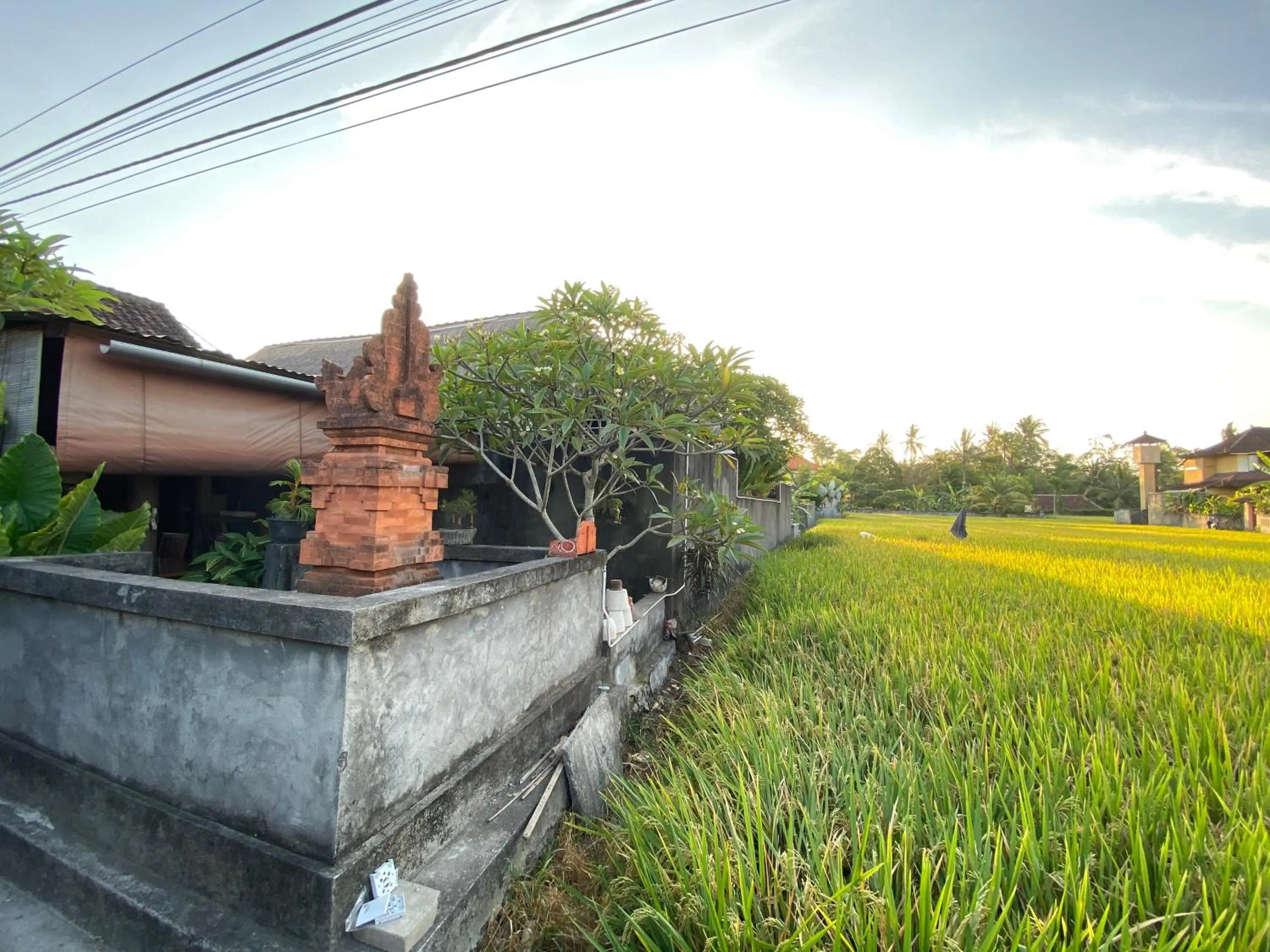 Neighbourhood in Rumah Dadong