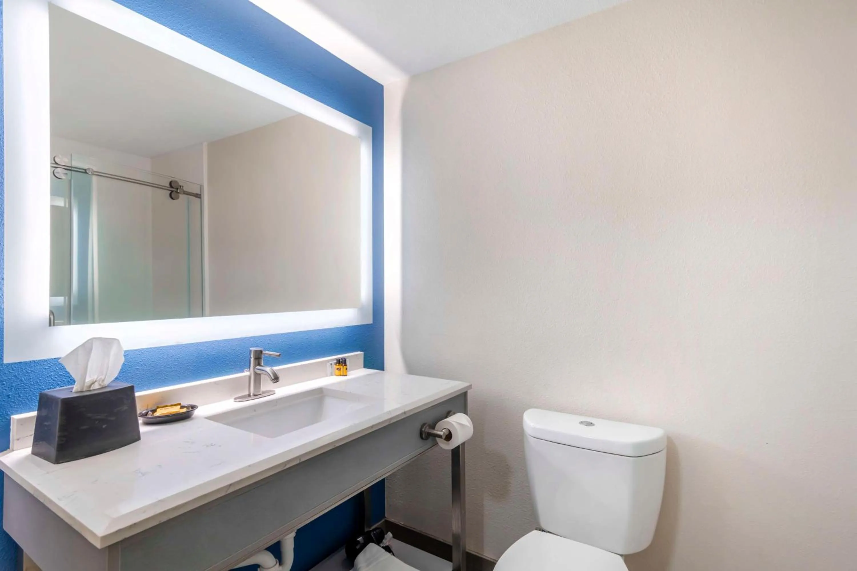 Bathroom in Best Western Plus Lake Lanier Gainesville Hotel & Suites