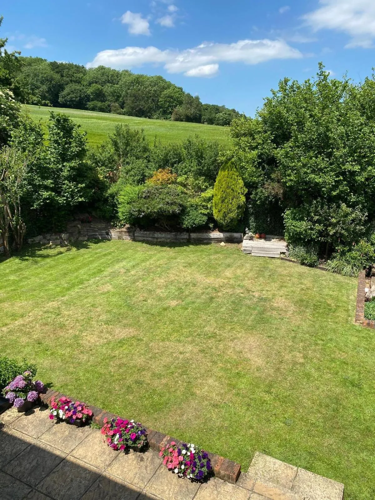 Garden in The Coniston Rooms