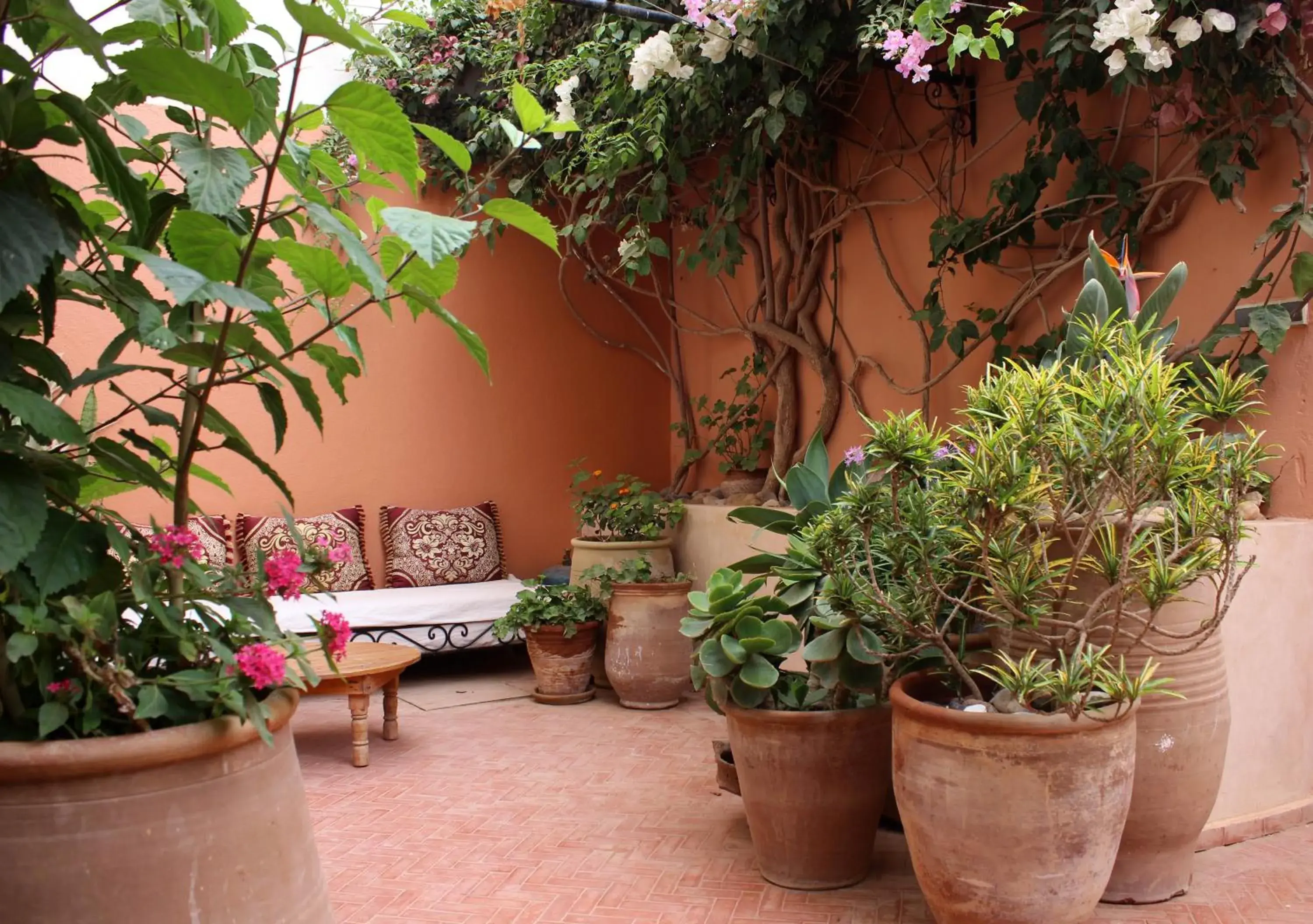 Tilily Home And Garden Tilily Home And Garden