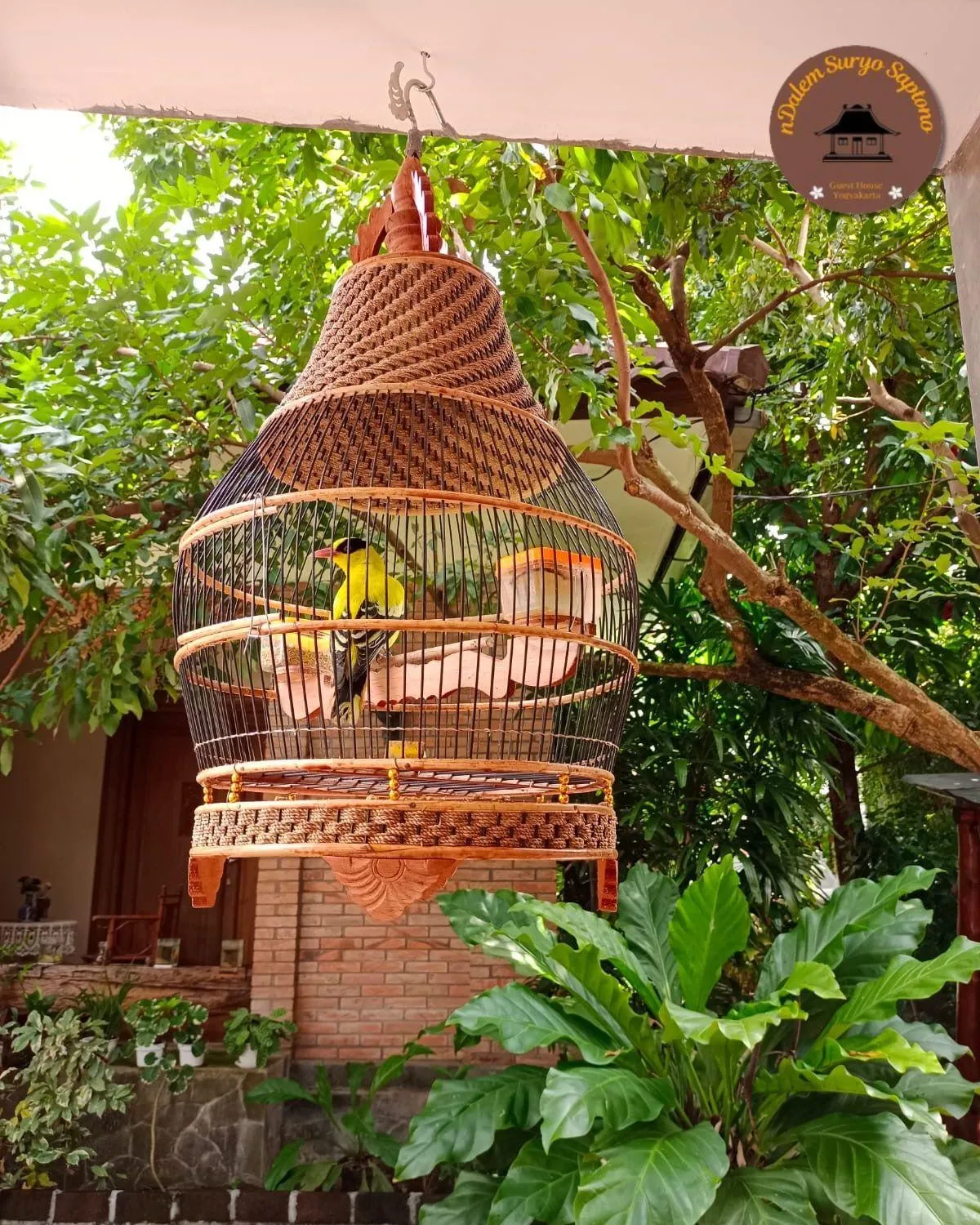 Garden in Ndalem Suryo Saptono Guest House
