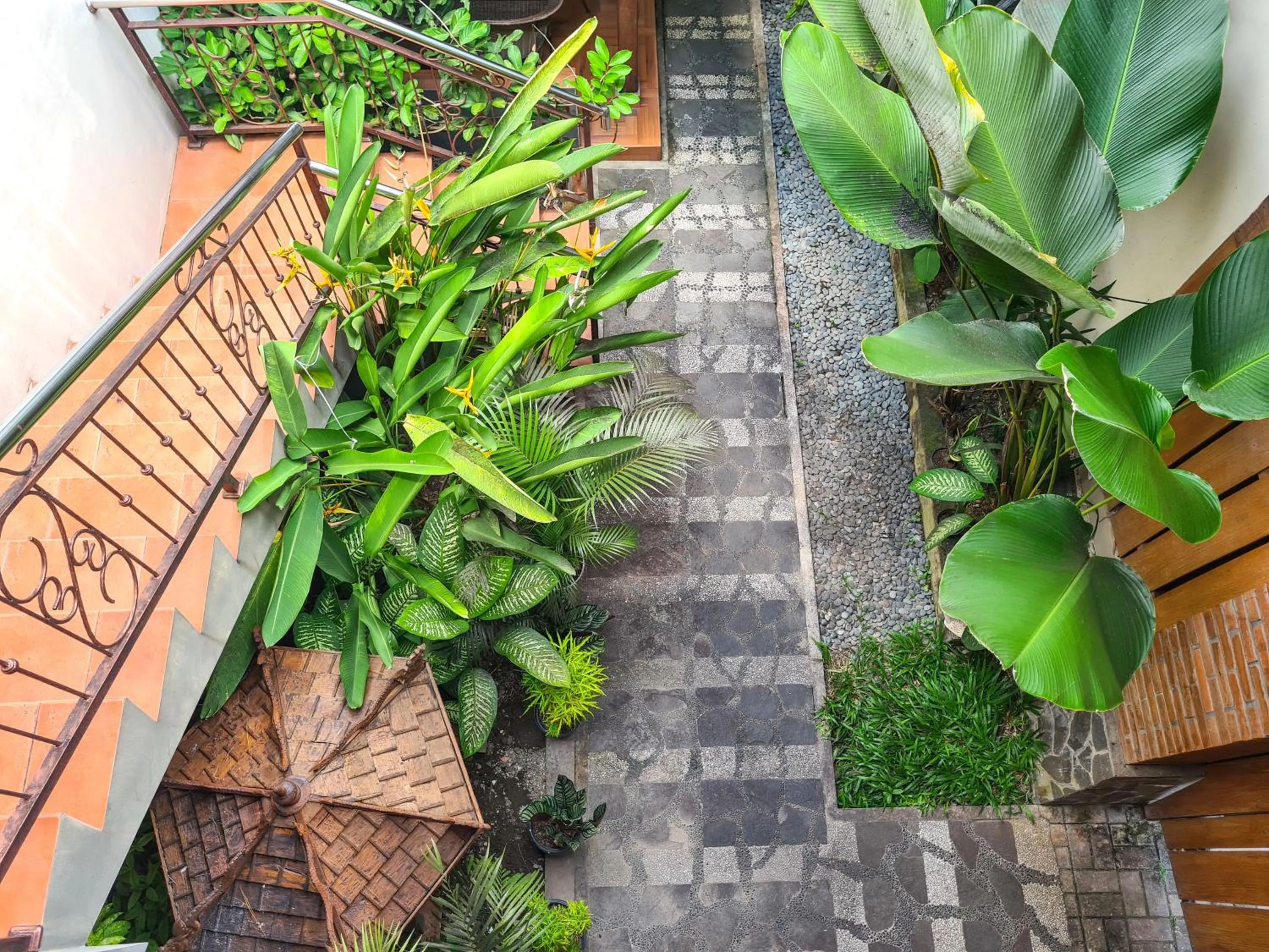Garden view in Ndalem Suryo Saptono Guest House