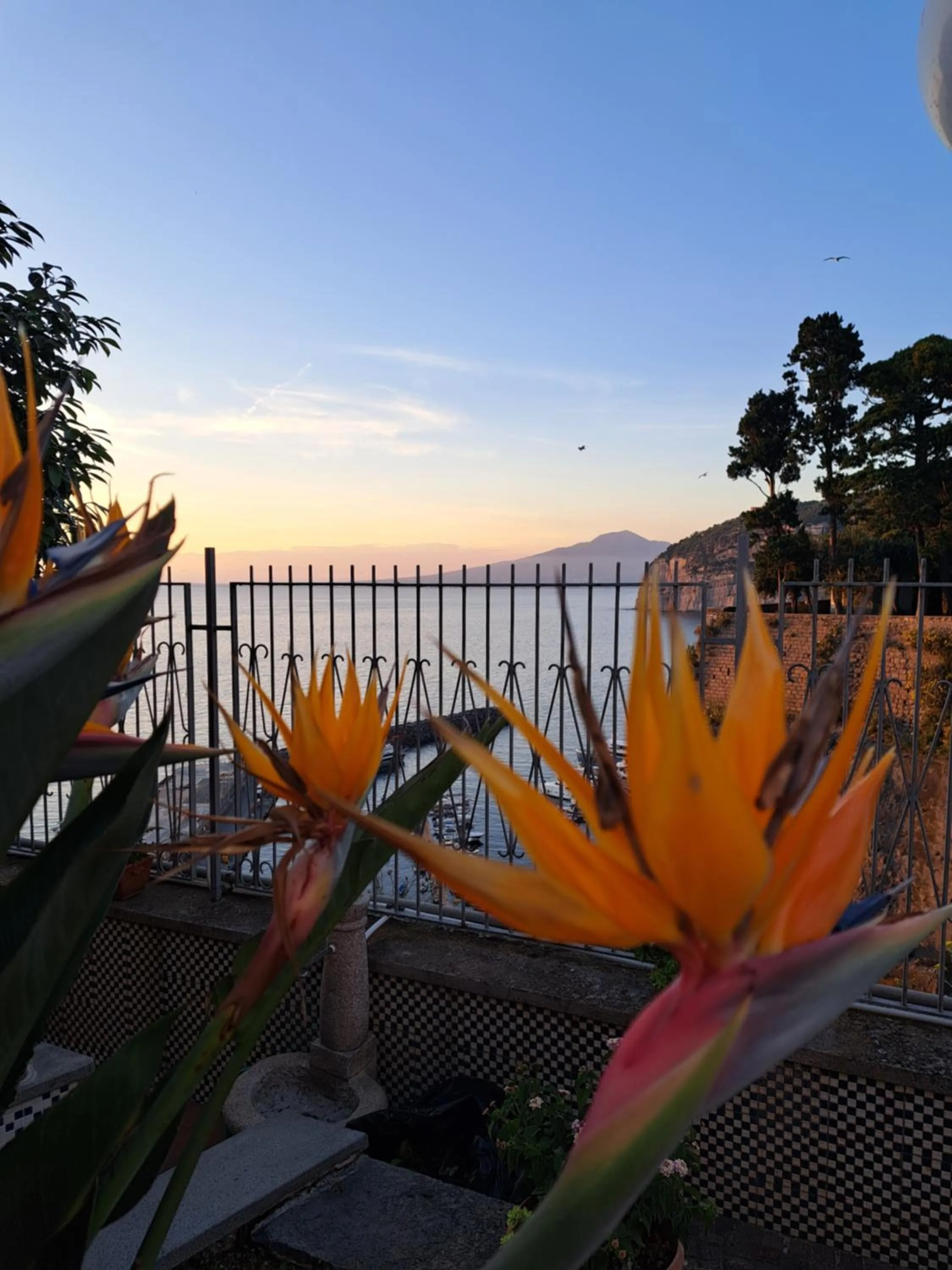 Garden view in Domus San Vincenzo