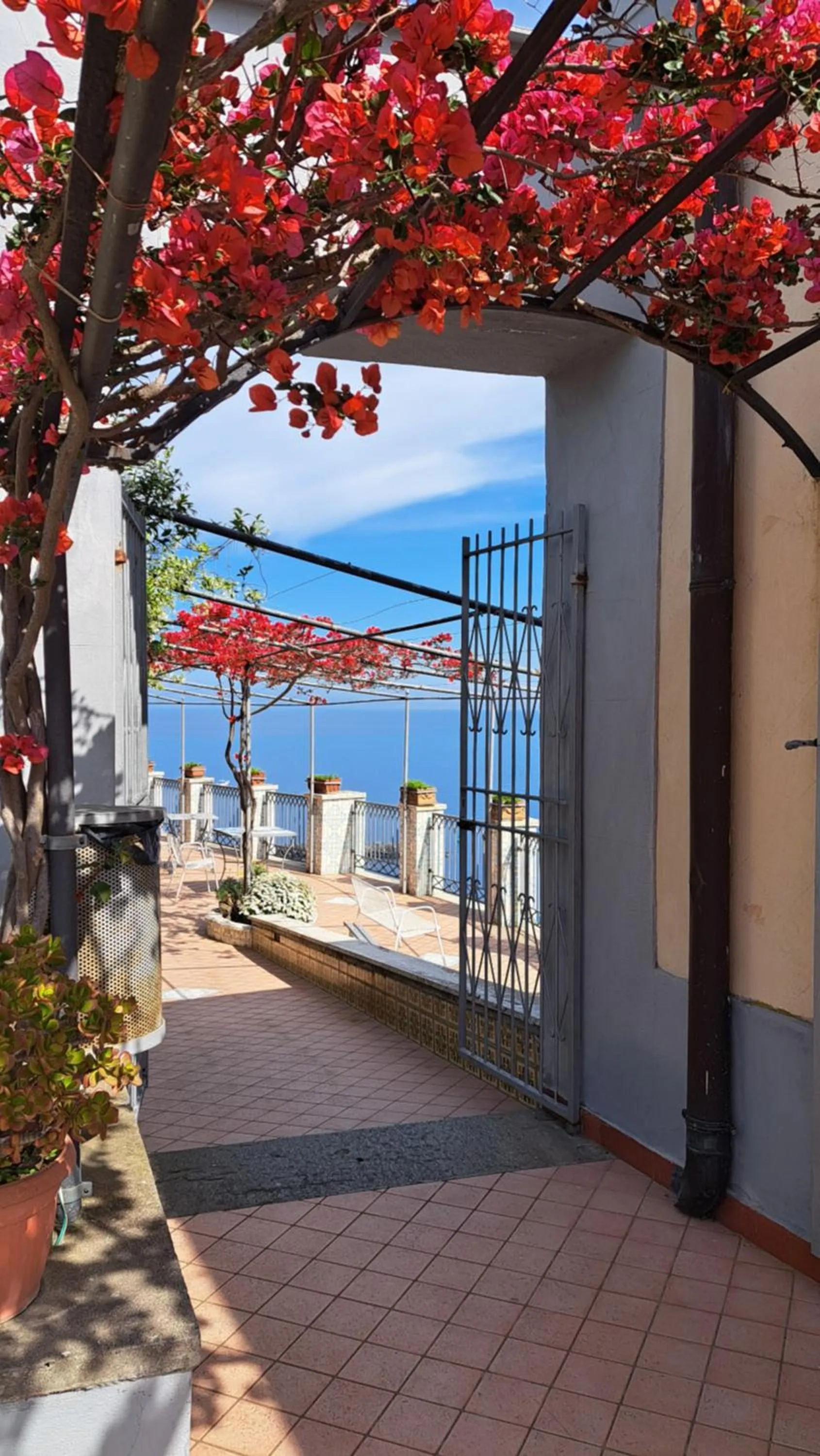 Summer in Domus San Vincenzo