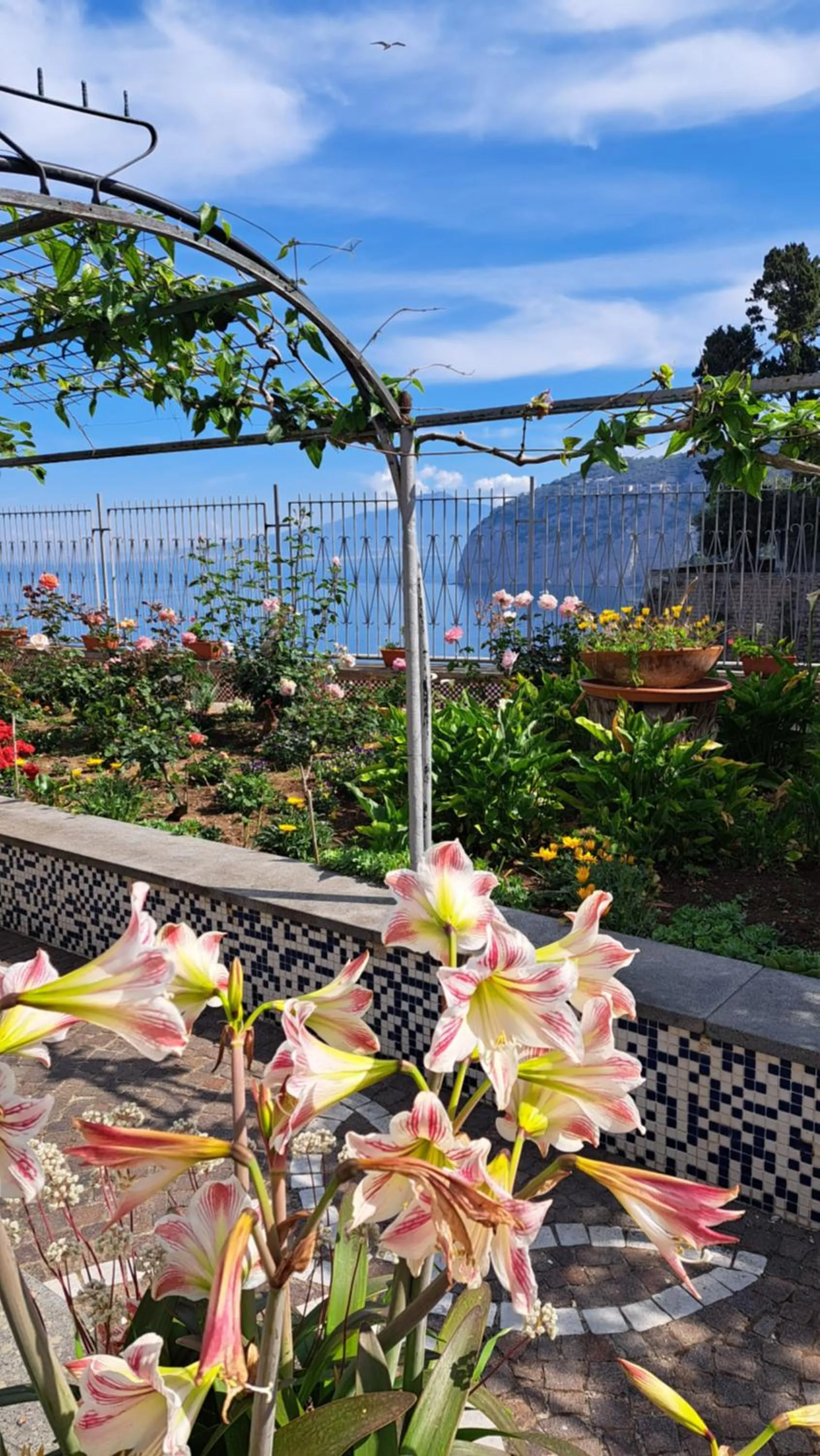 Garden view in Domus San Vincenzo