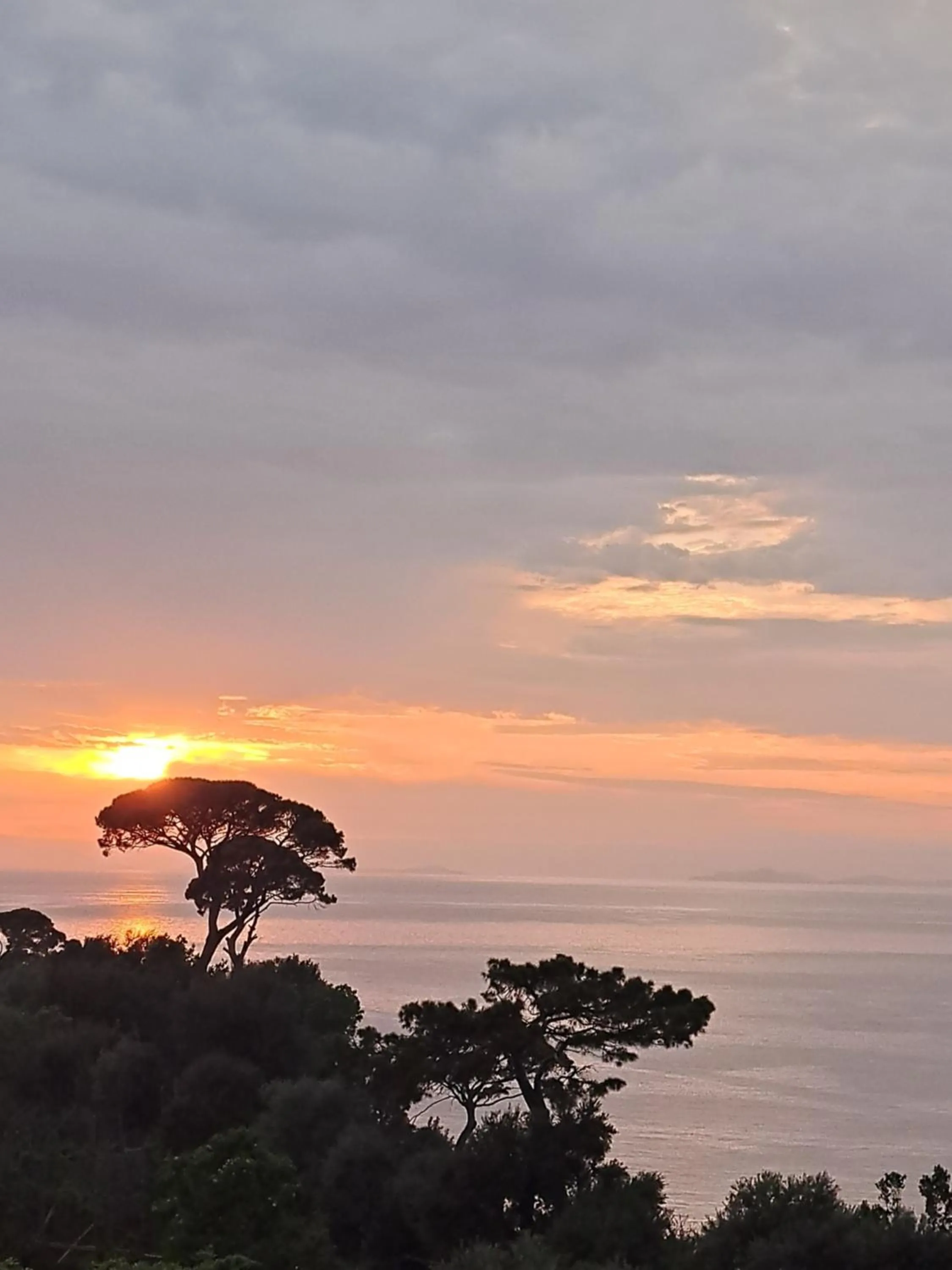 View (from property/room) in Domus San Vincenzo