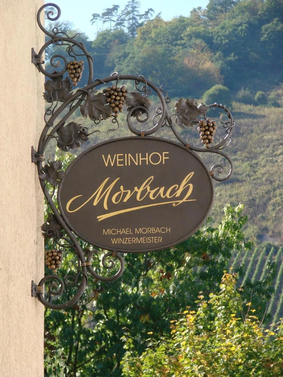 Day in Weinhof Michael Morbach