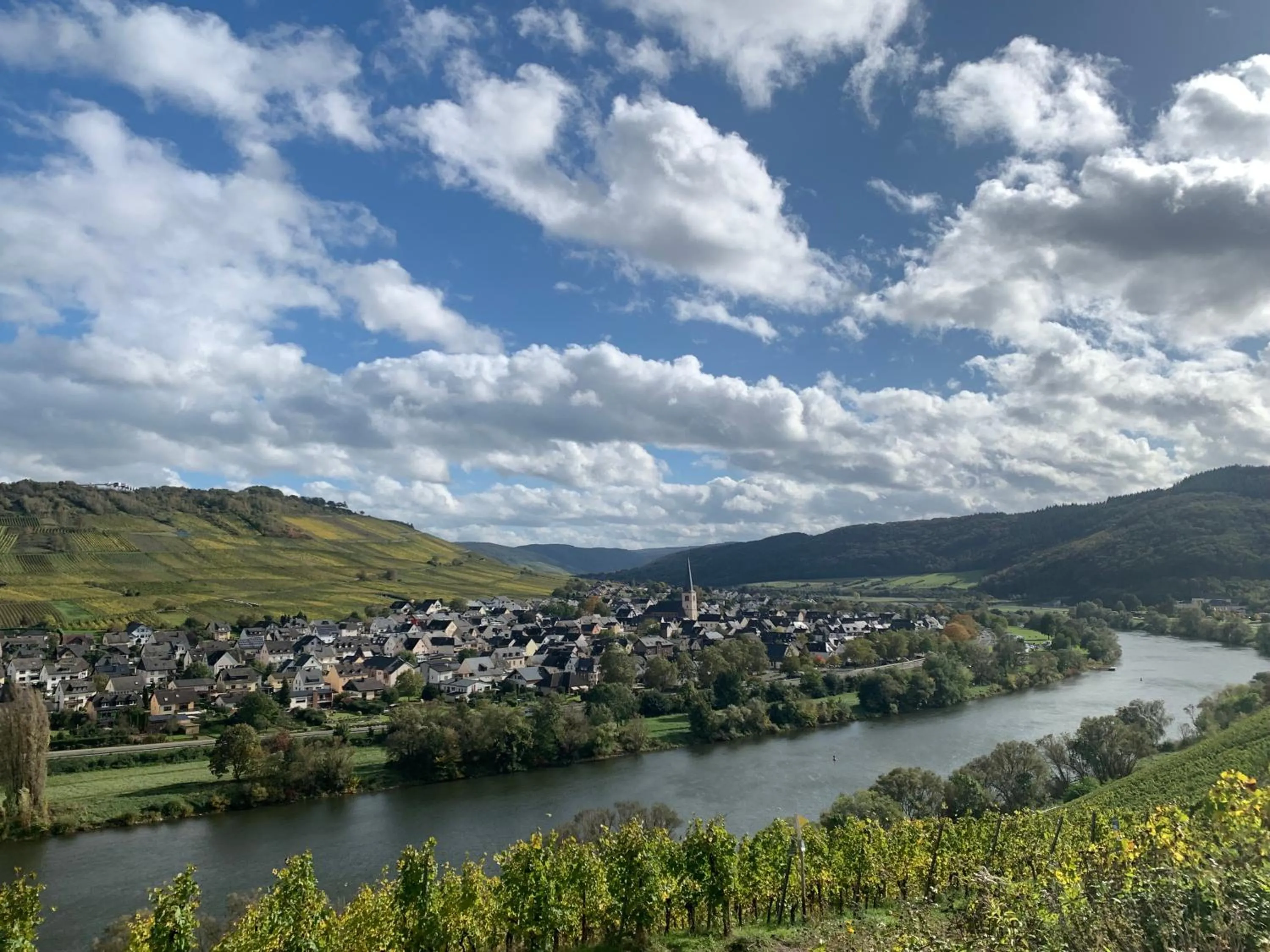 Weinhof Michael Morbach