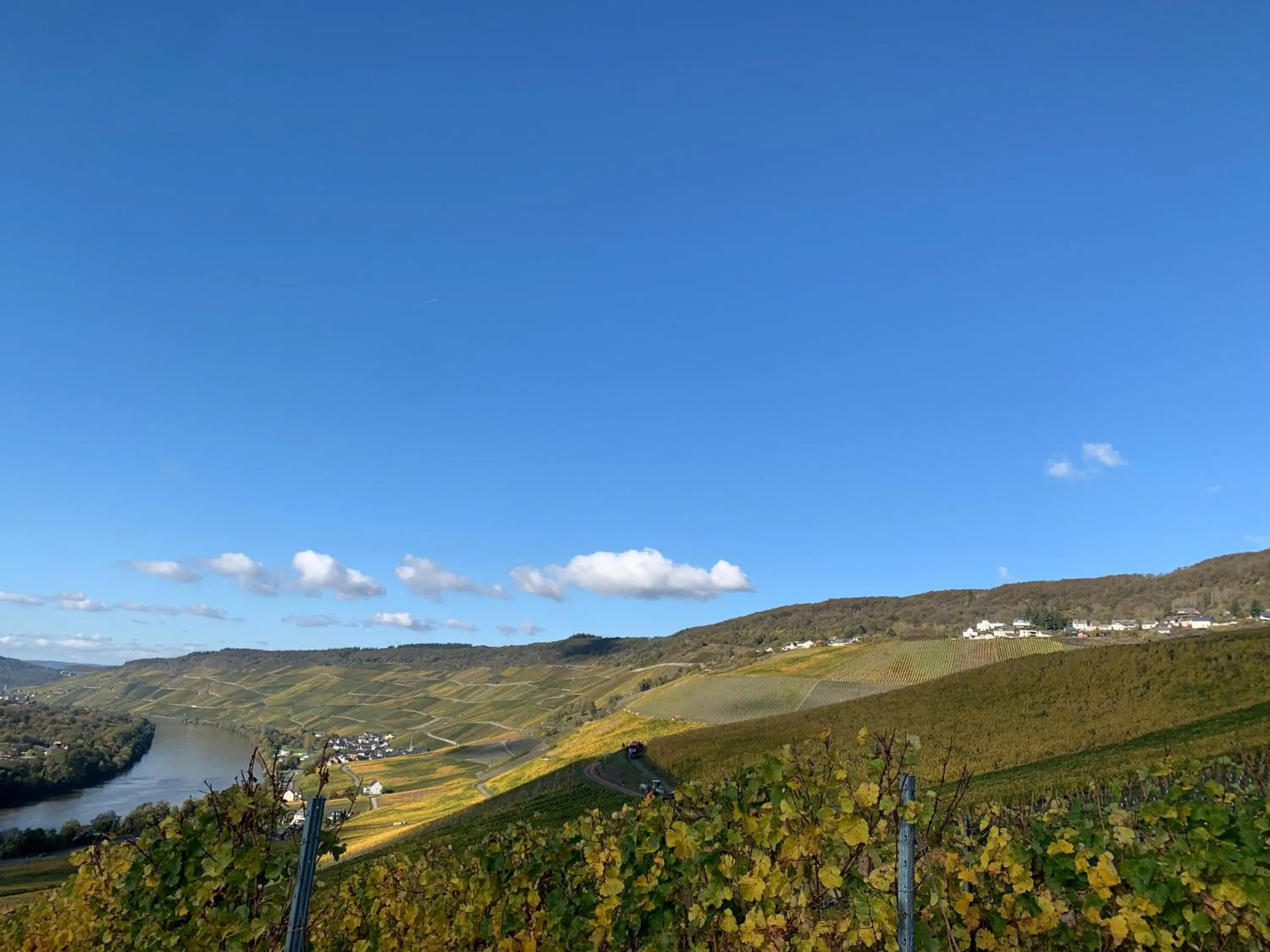 Weinhof Michael Morbach