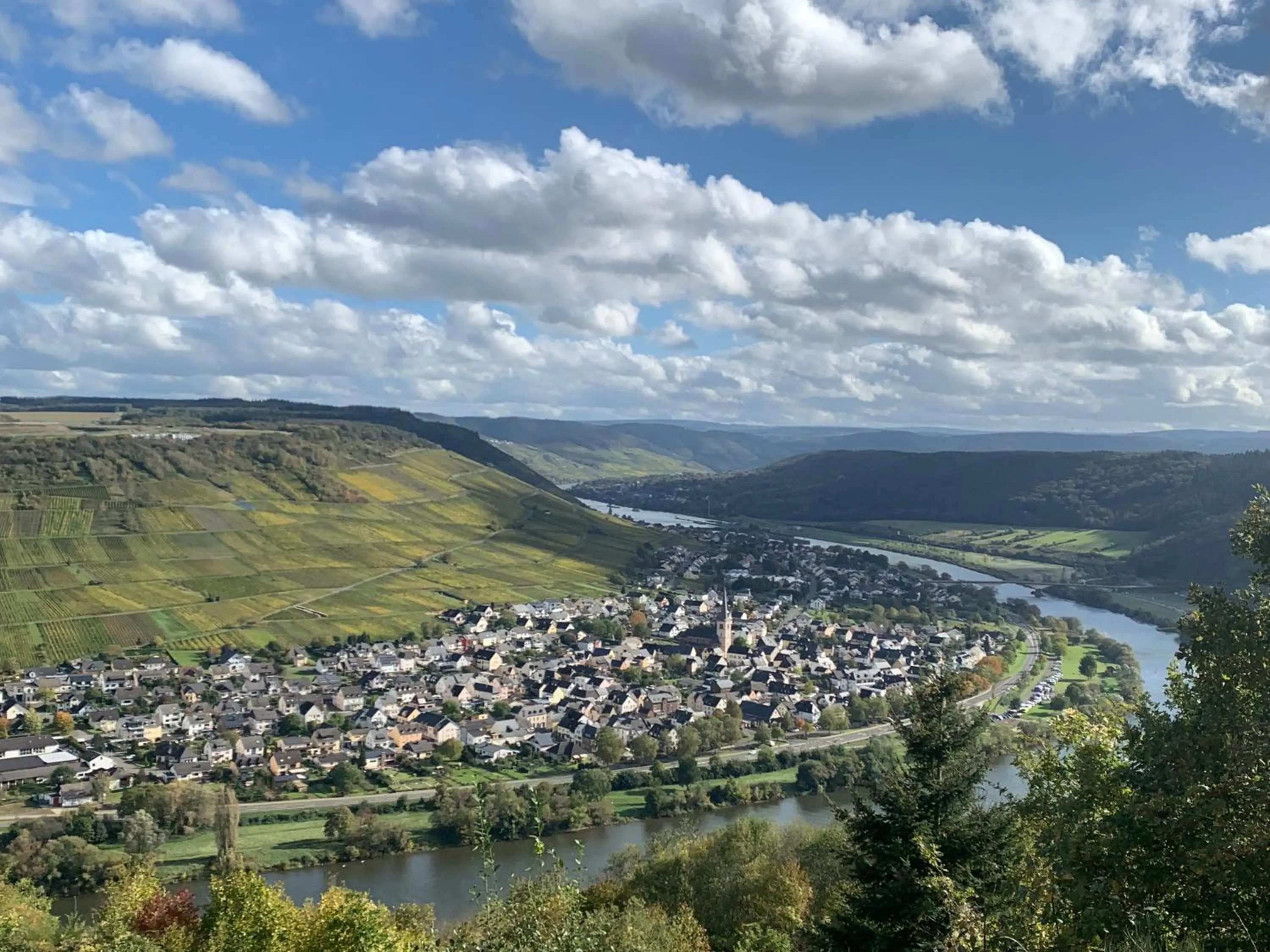 Weinhof Michael Morbach