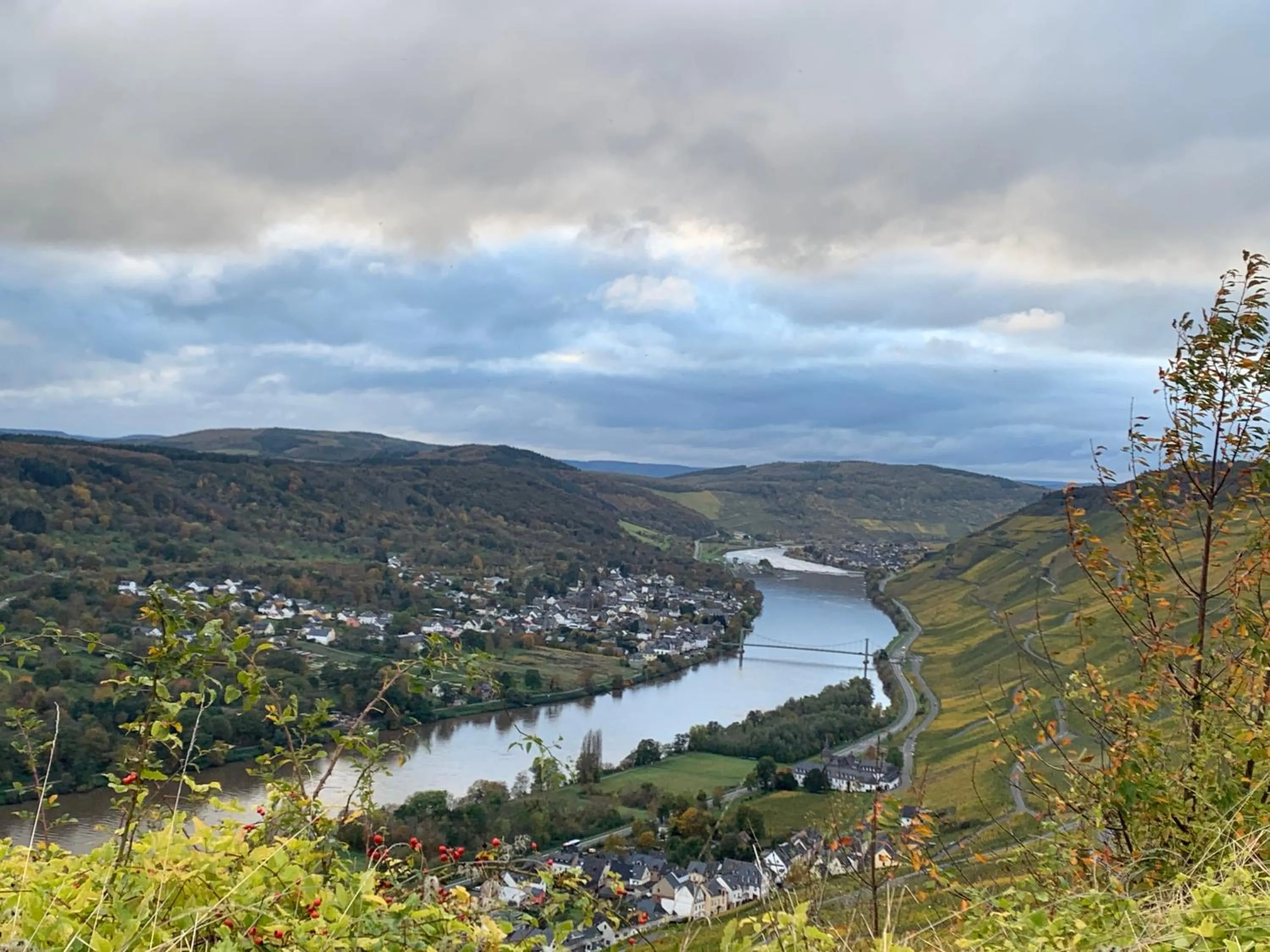 Weinhof Michael Morbach