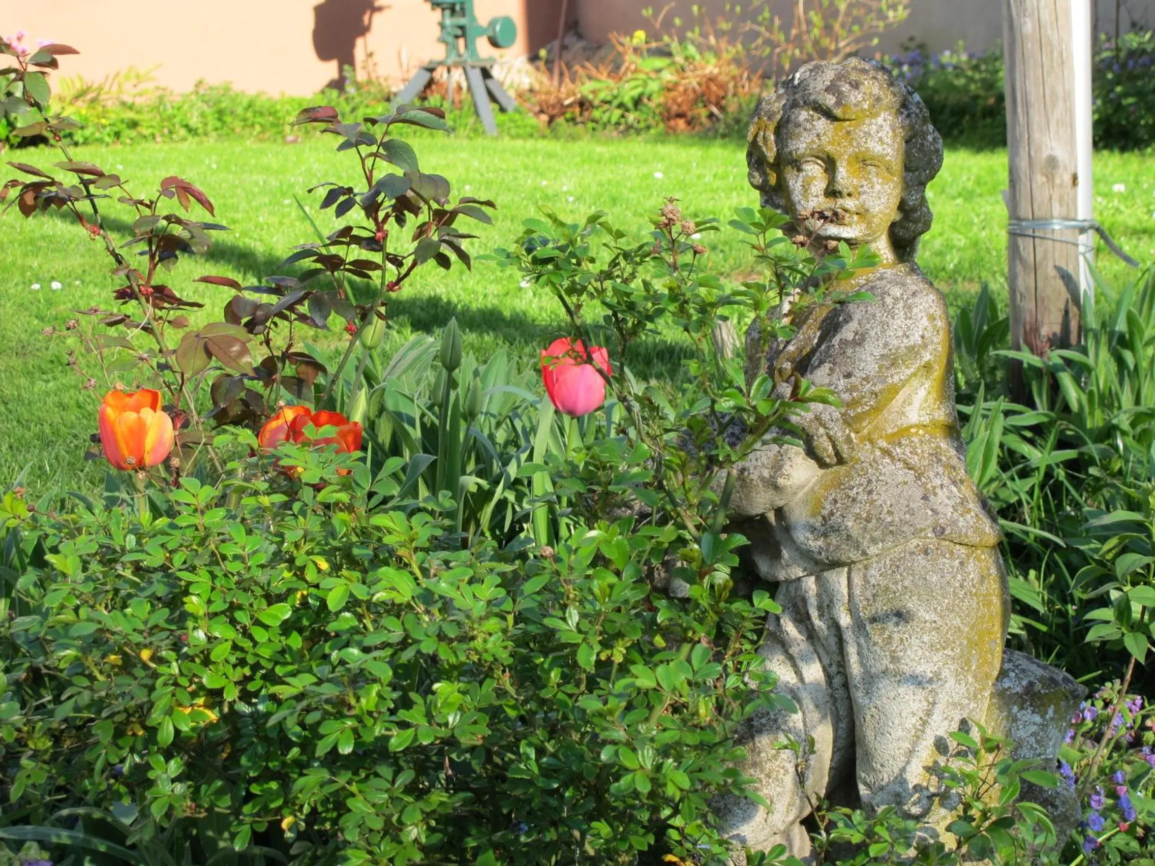 Garden in Weinhof Michael Morbach