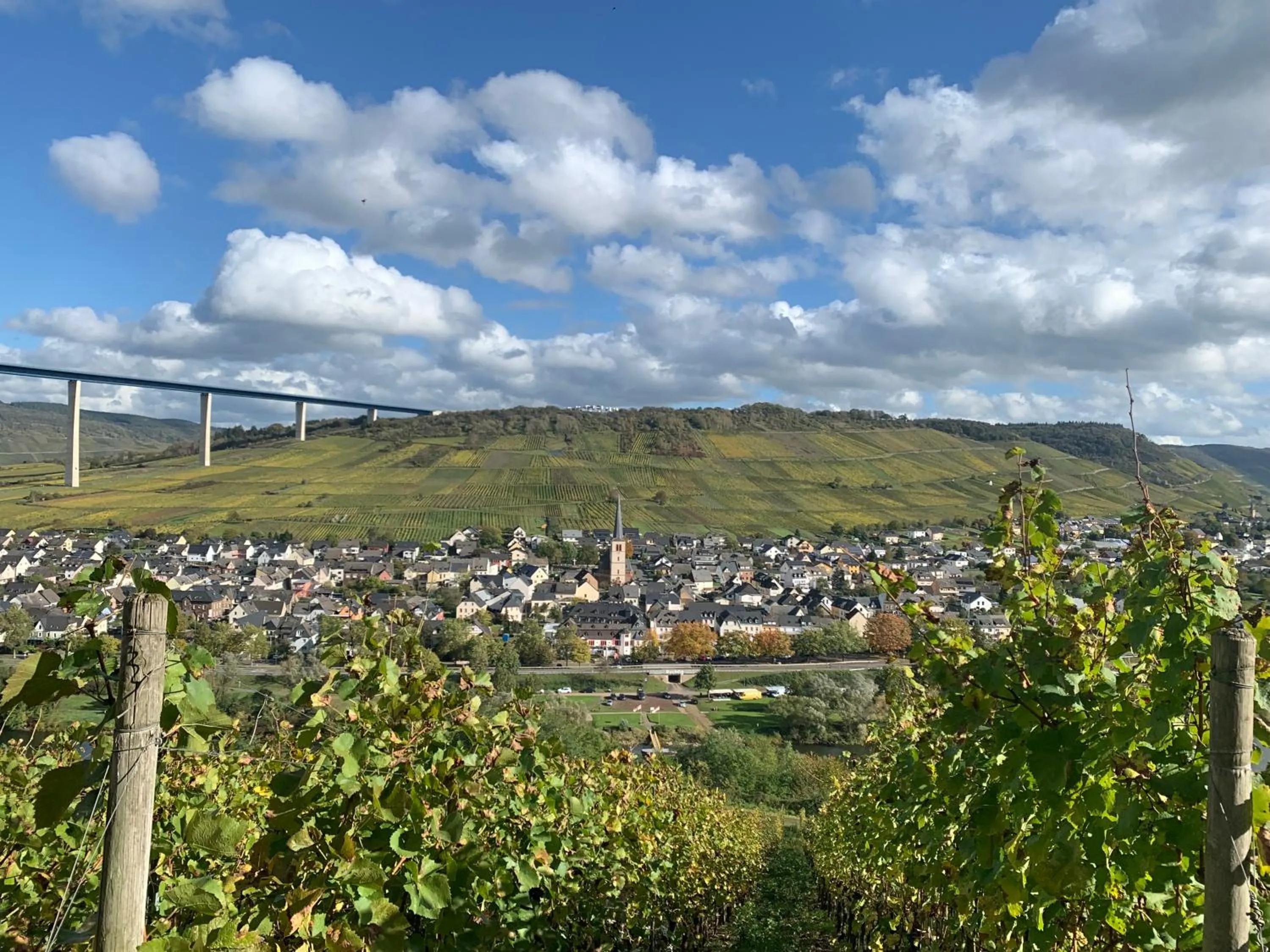 Weinhof Michael Morbach