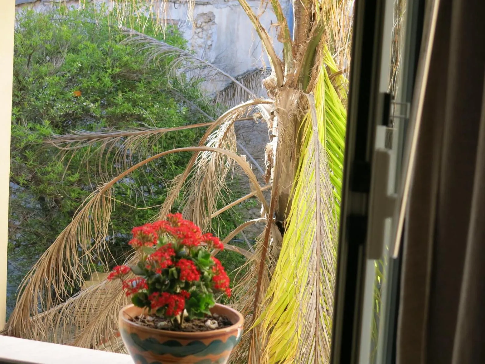 Garden view in B&B Spiraglio