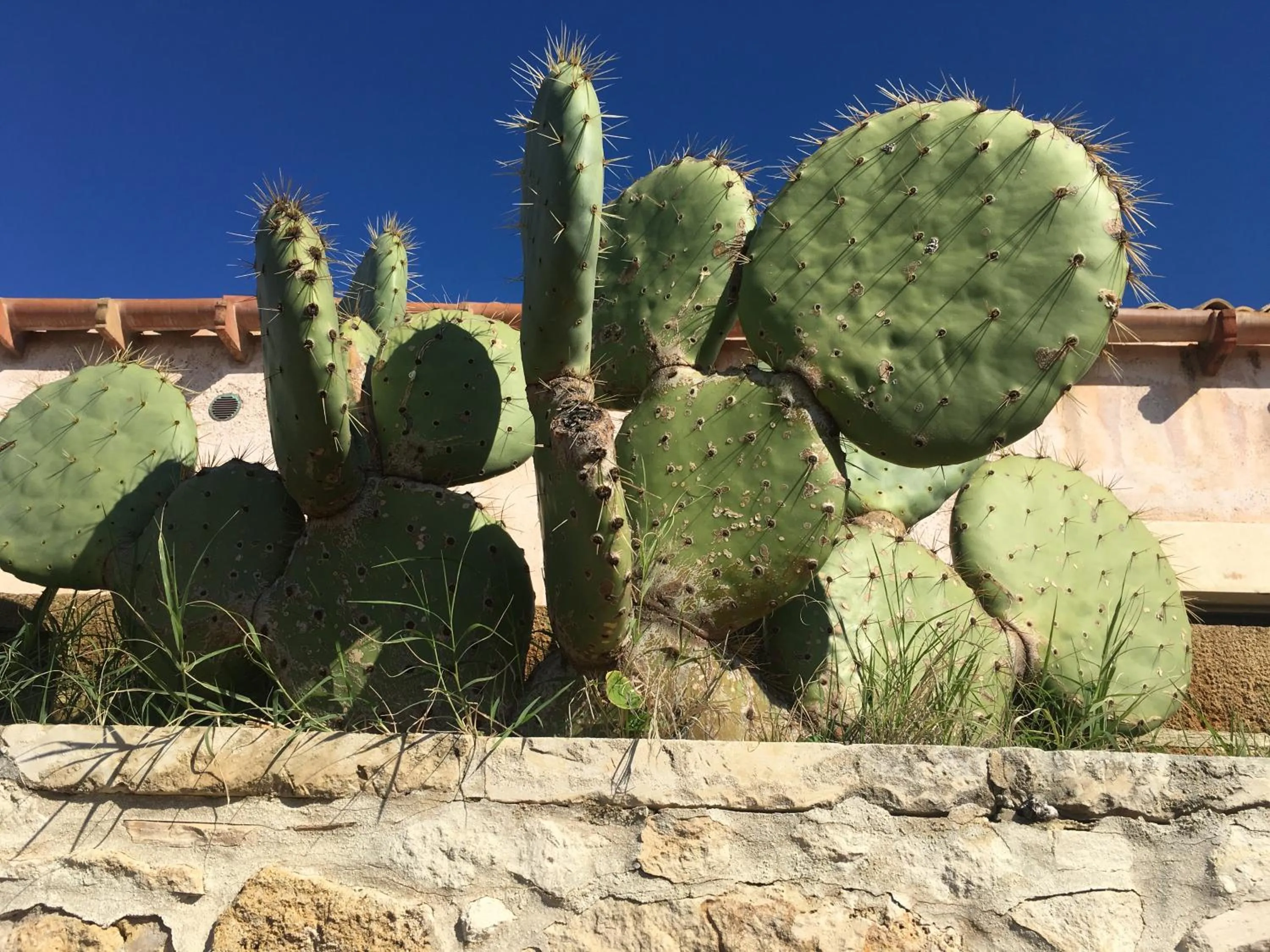 Other in B&B Spiraglio