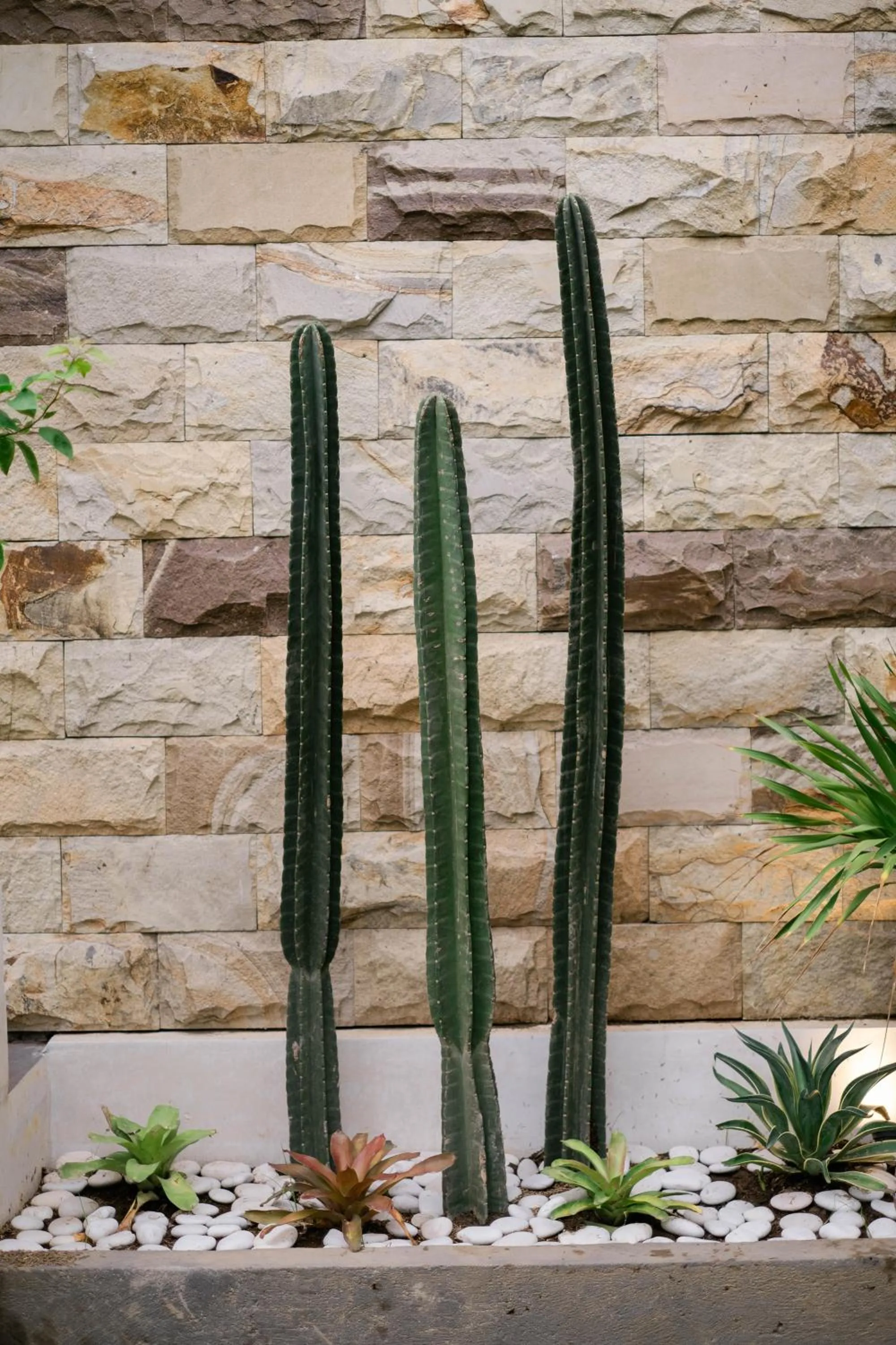 Property building in Kemuning Living Sanur