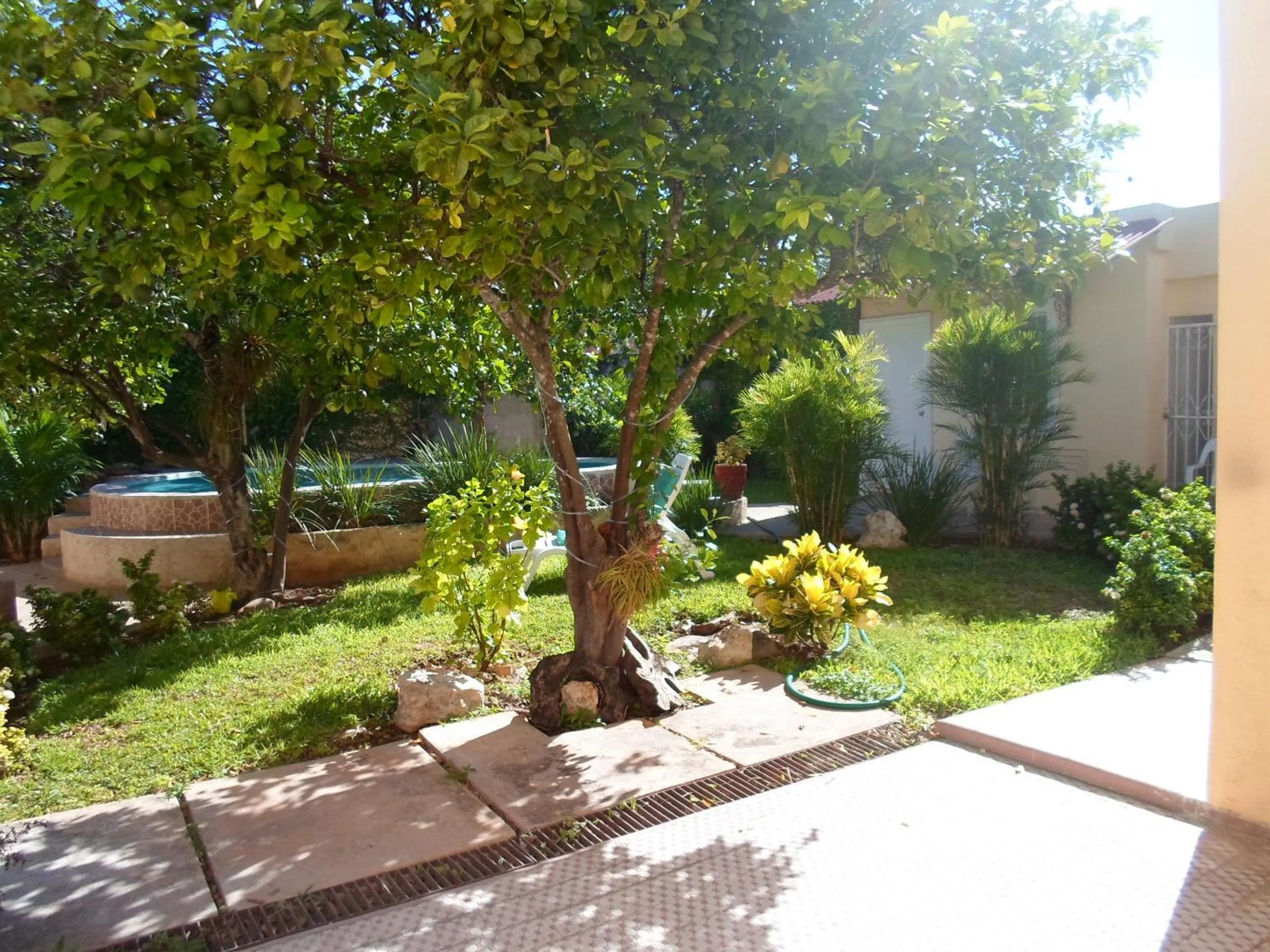 Garden in La Casa del Turix