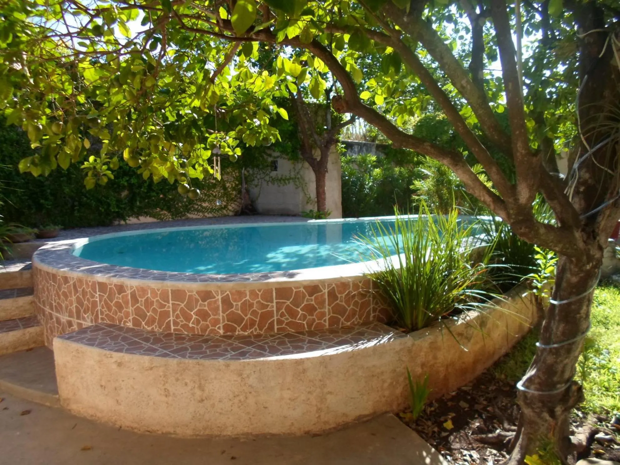 Swimming pool in La Casa del Turix