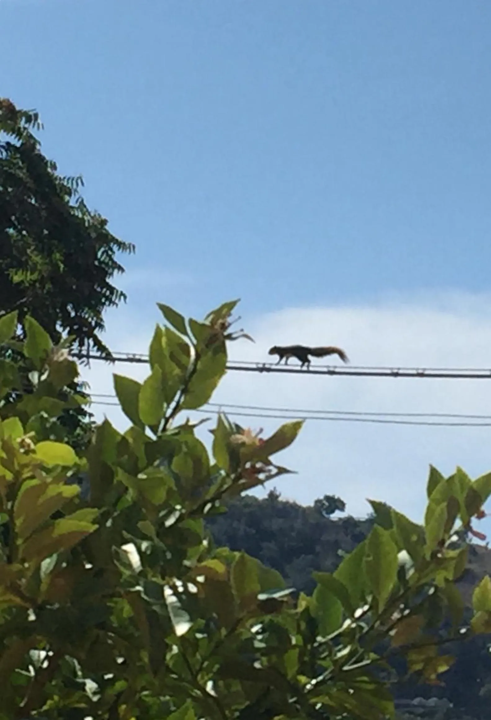 View (from property/room) in B&B Villa Rosa Angrisano