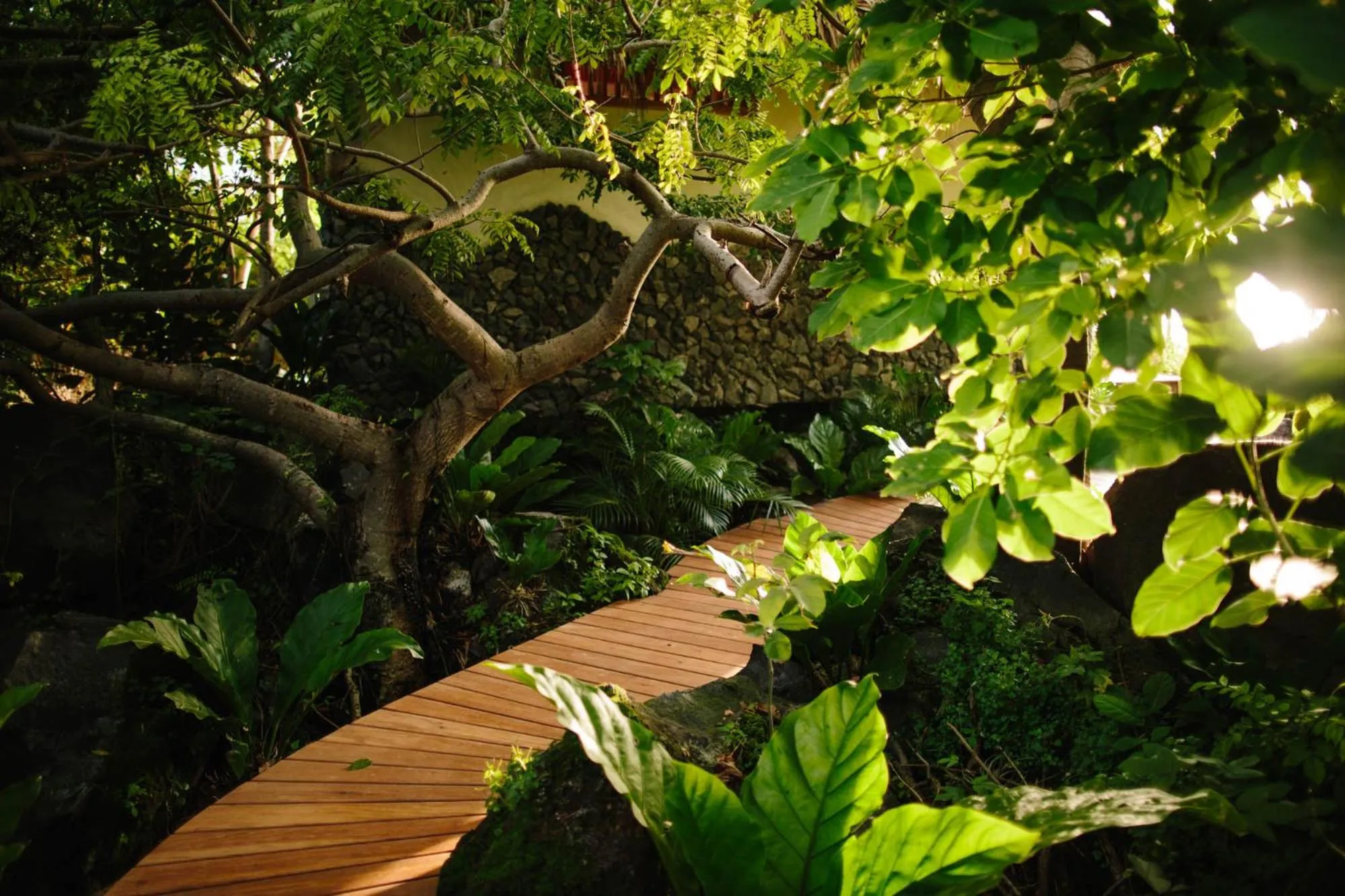 Isleta El Espino Ecolodge