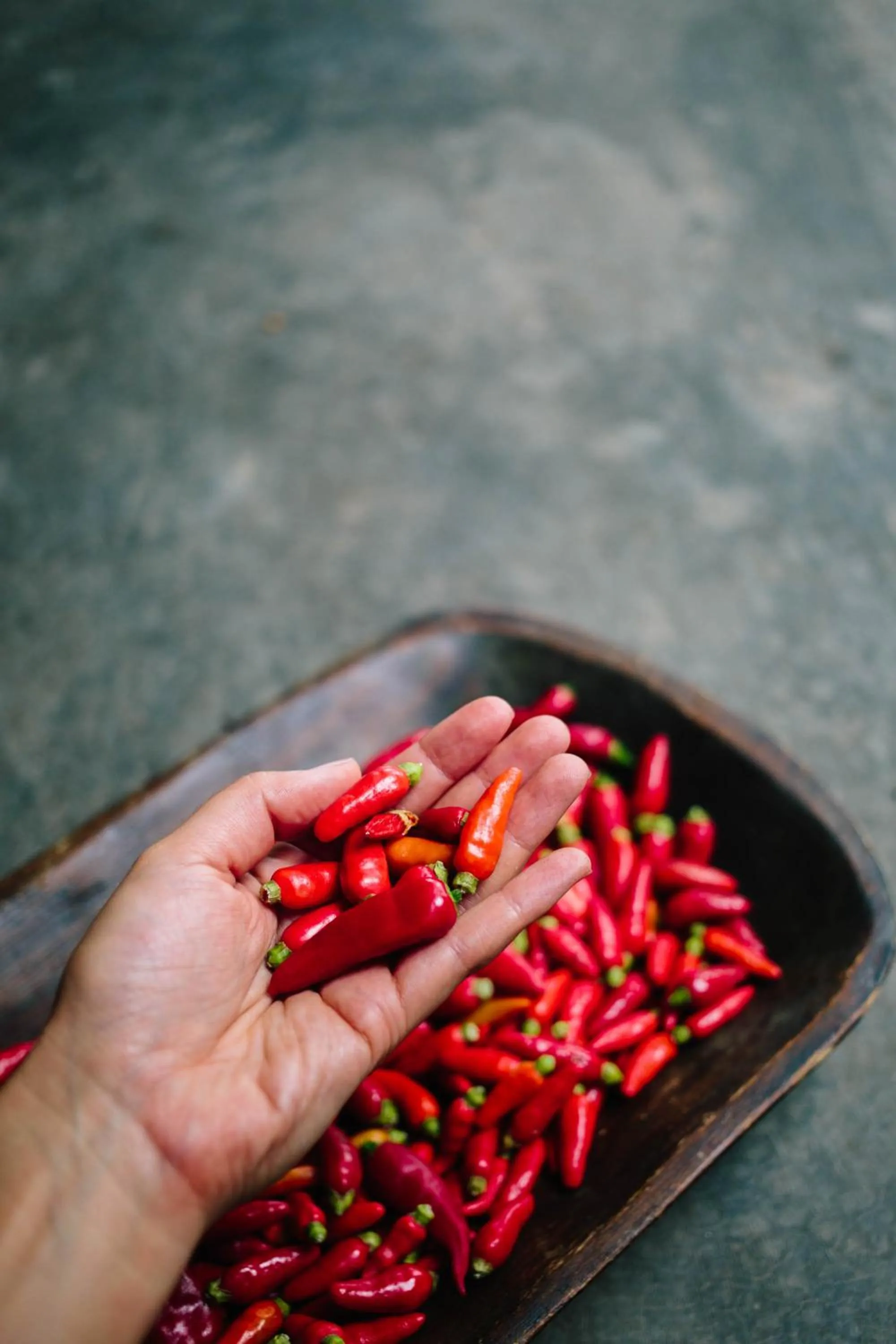 Restaurant/places to eat in Isleta El Espino Ecolodge
