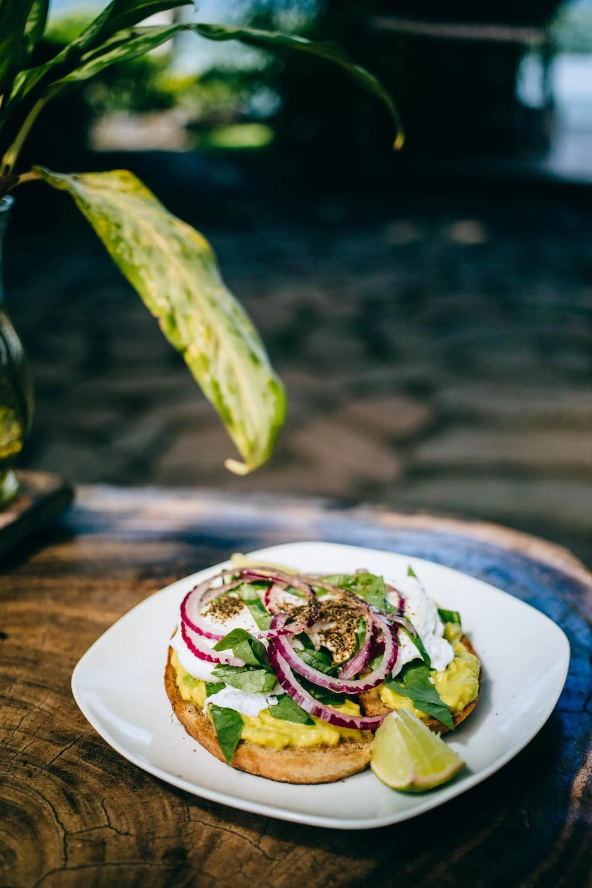 Breakfast in Isleta El Espino Ecolodge