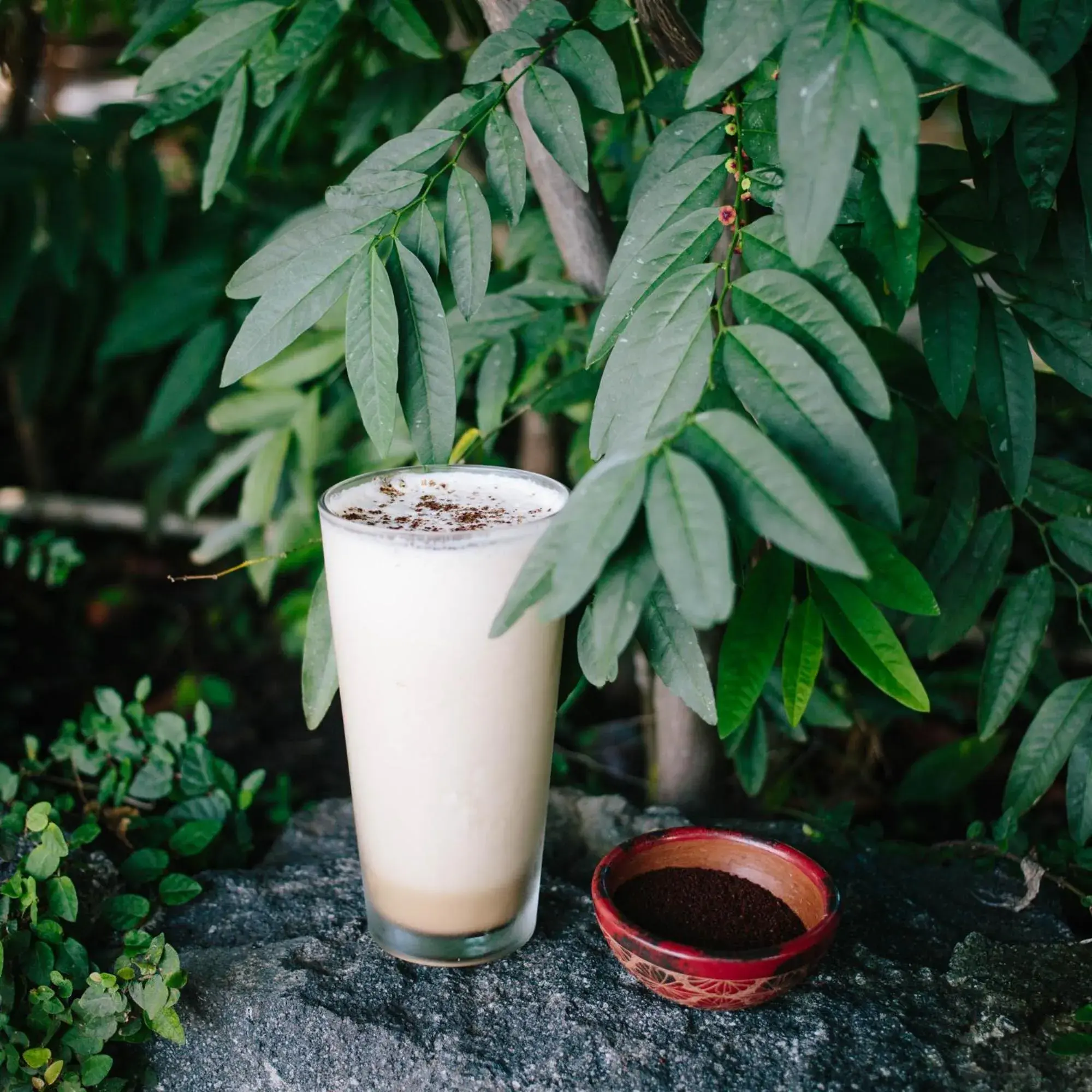 Restaurant/places to eat in Isleta El Espino Ecolodge Restaurant/places to eat in Isleta El Espino Ecolodge