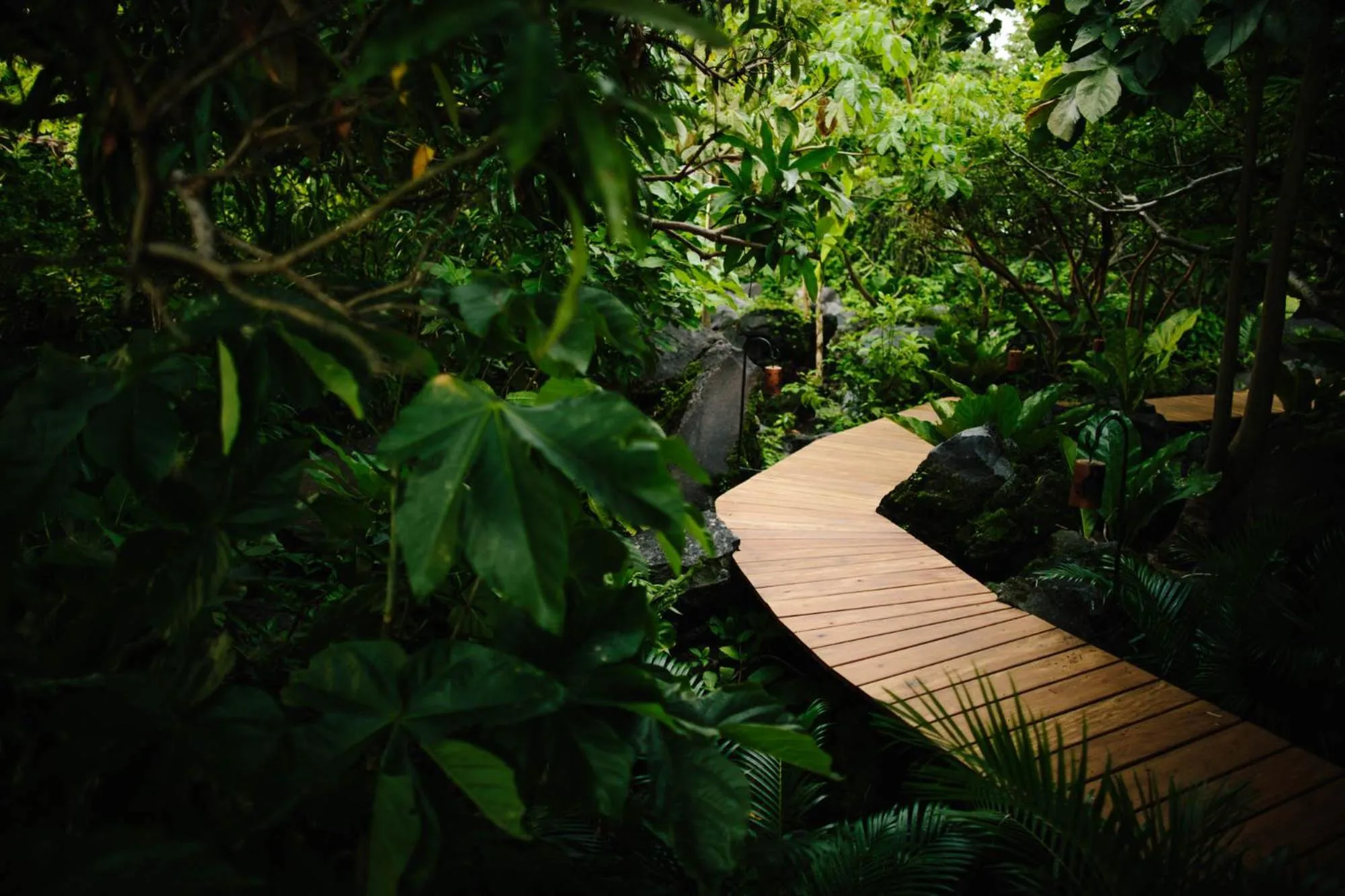 Isleta El Espino Ecolodge