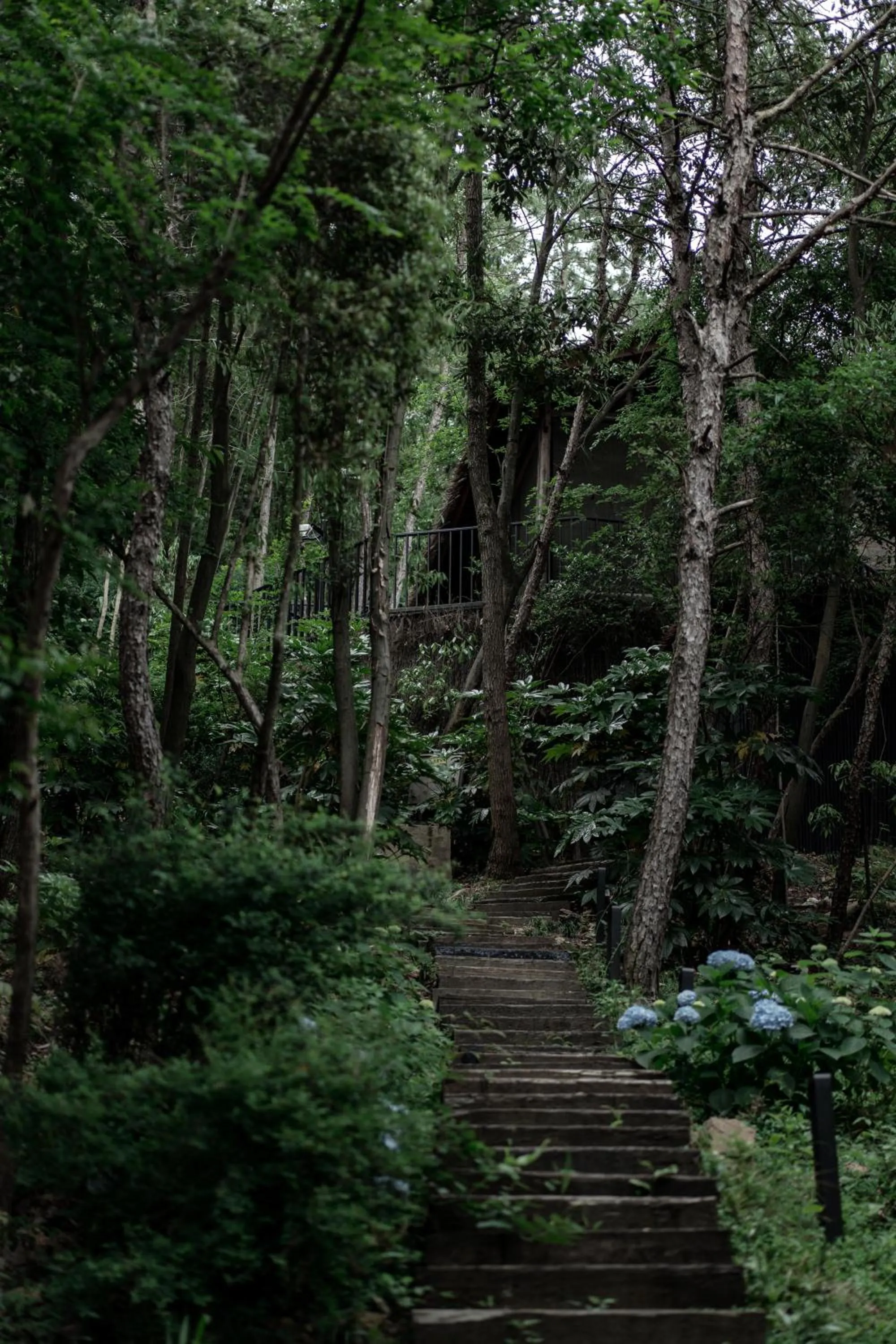 Property building in Anji ke gamer wild luxury Resort villa