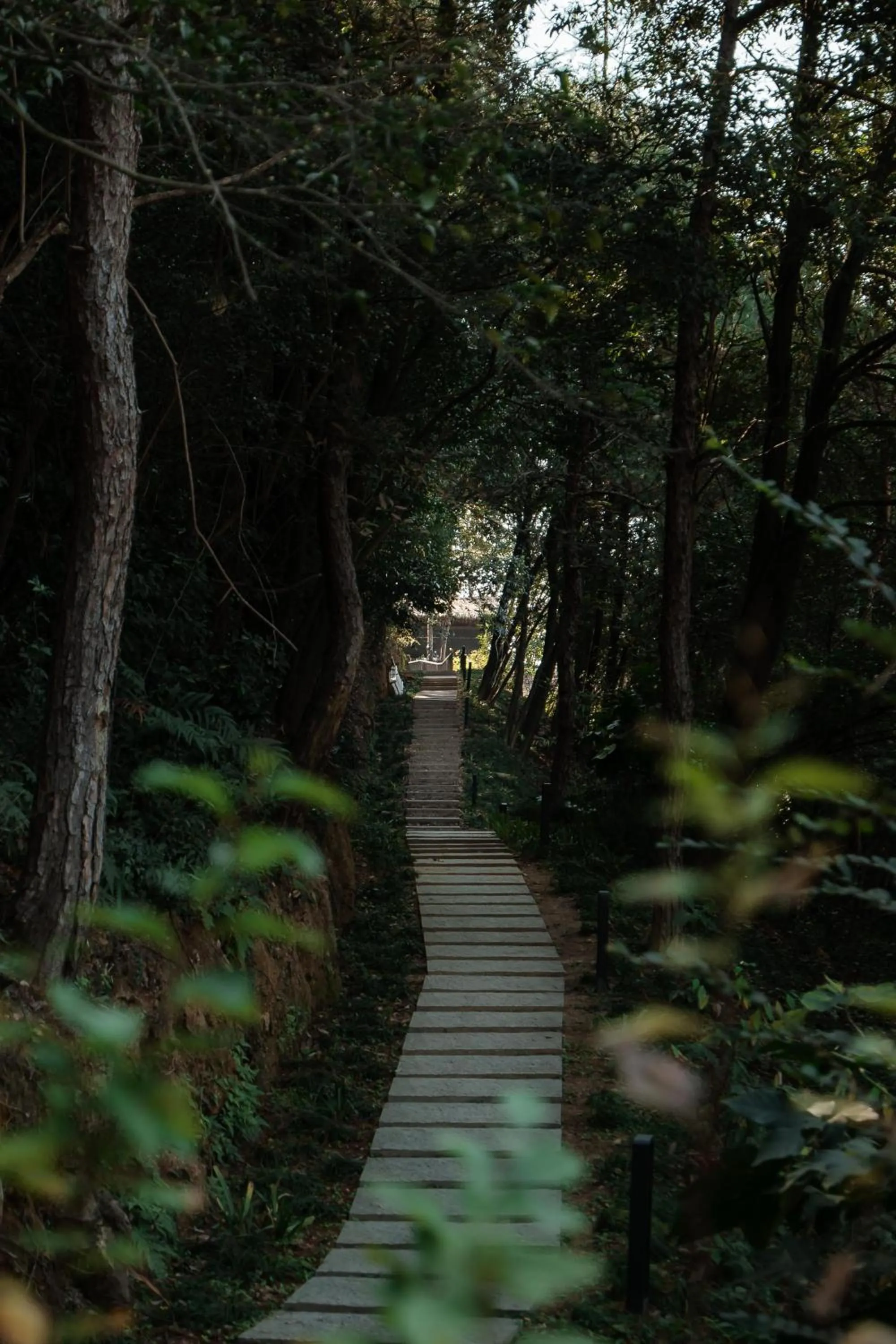 Natural landscape in Anji ke gamer wild luxury Resort villa