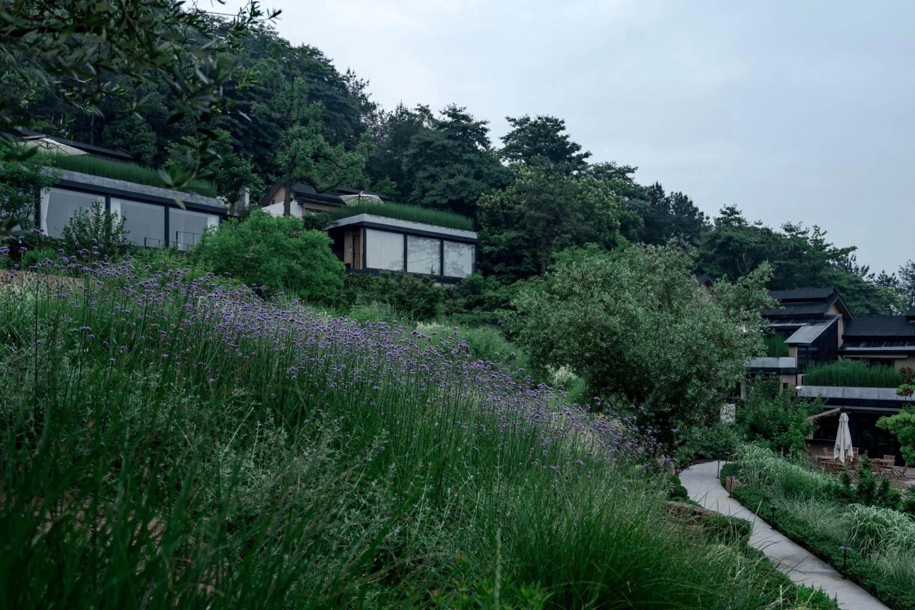 Property building in Anji ke gamer wild luxury Resort villa