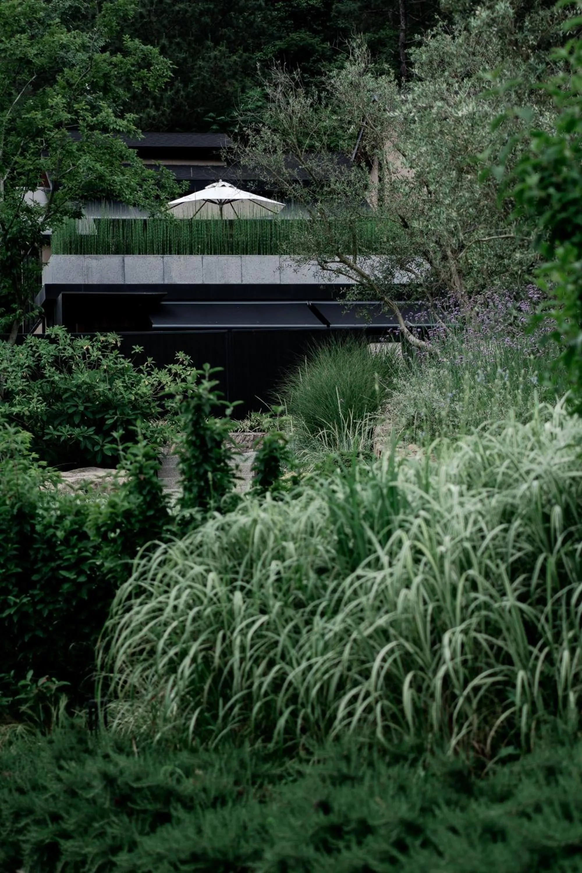 Property building in Anji ke gamer wild luxury Resort villa