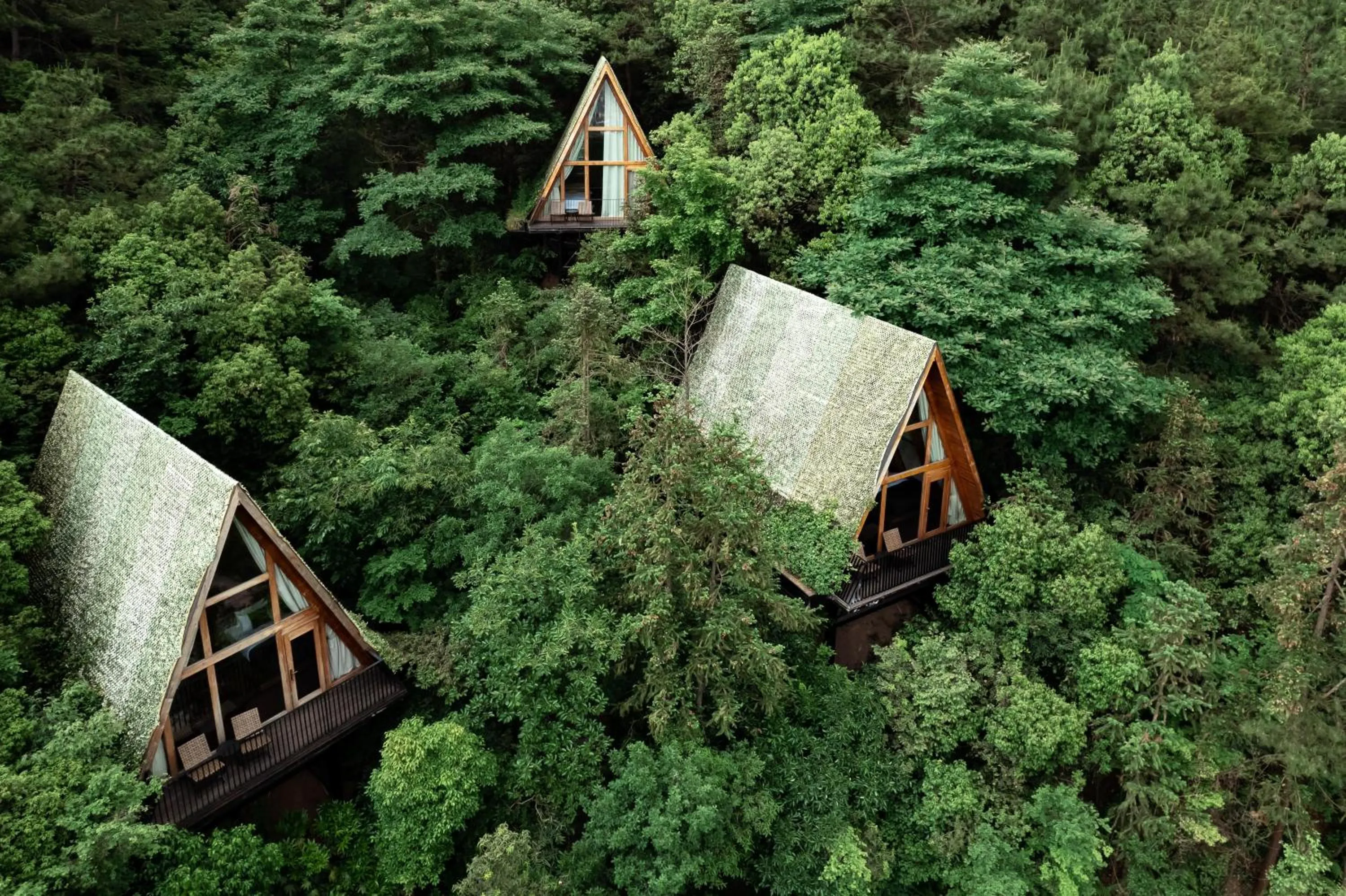 Property building in Anji ke gamer wild luxury Resort villa