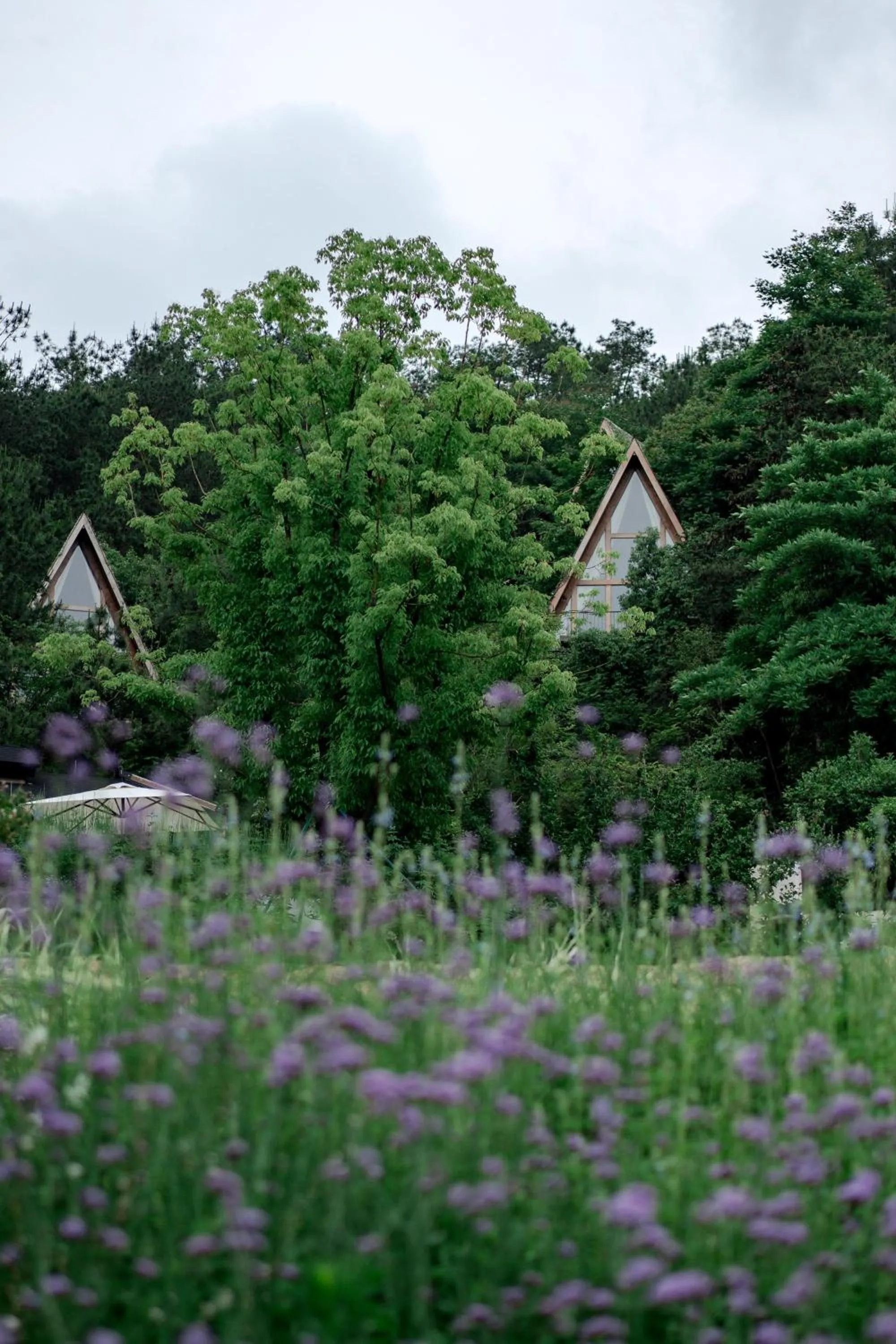 Property building in Anji ke gamer wild luxury Resort villa