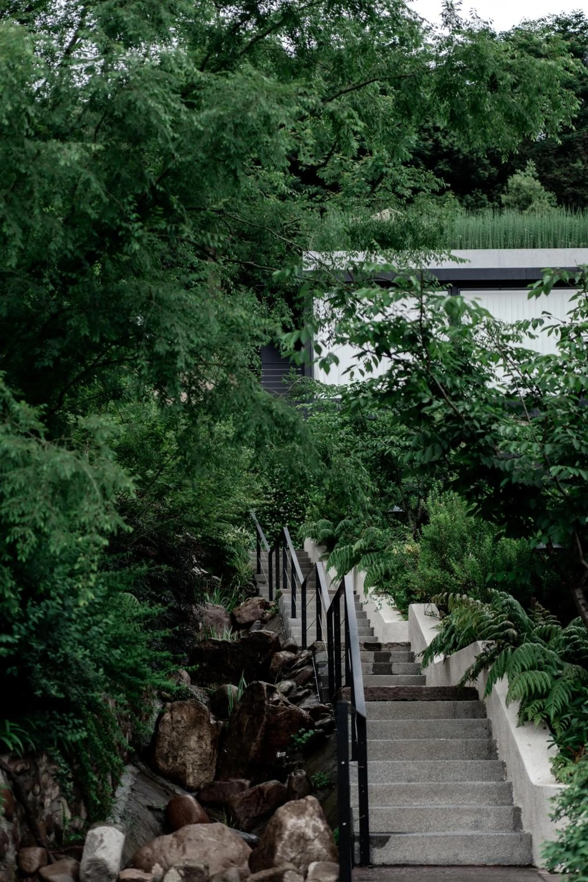 Property building in Anji ke gamer wild luxury Resort villa