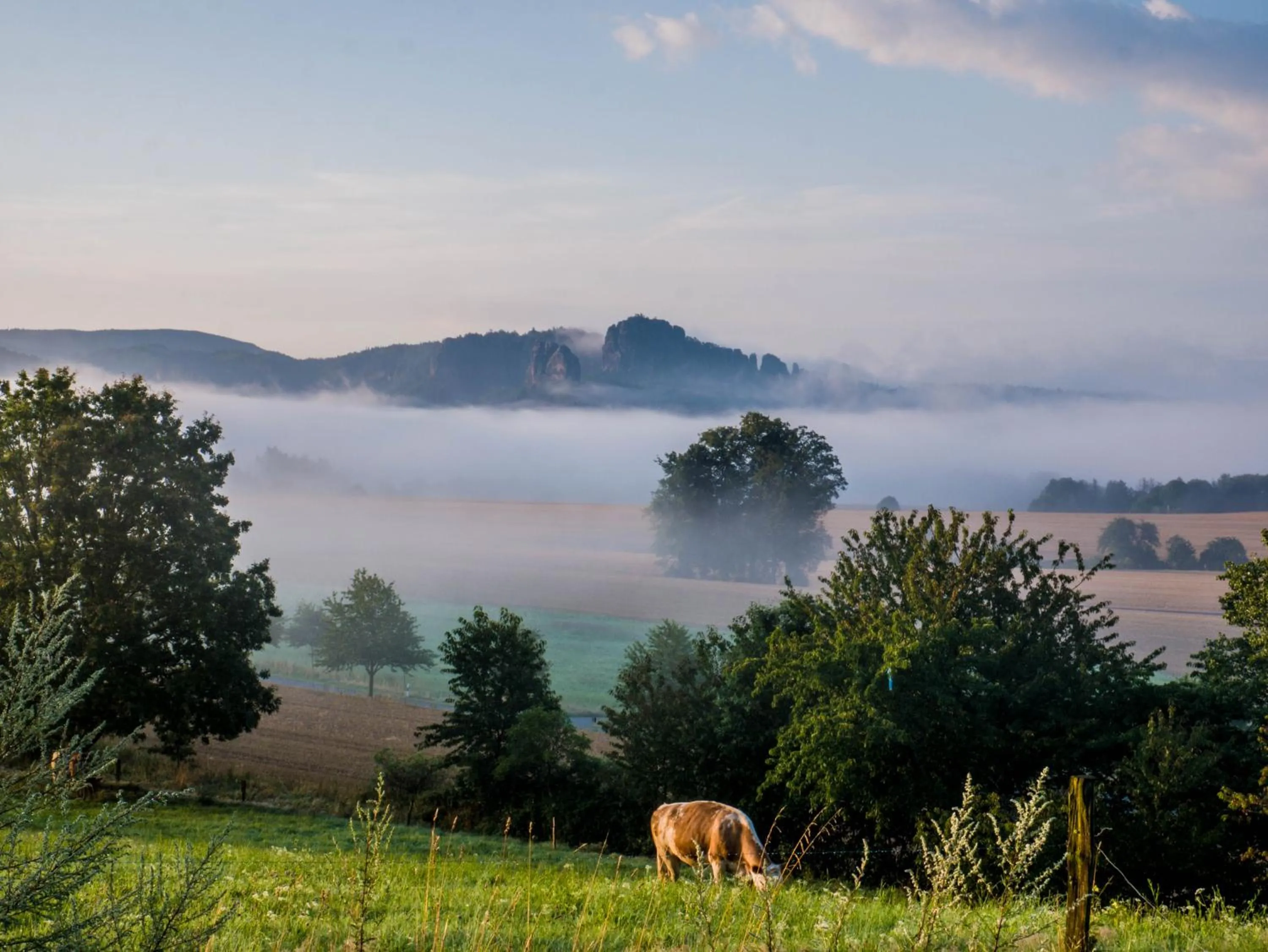 Hiking in Hotel Elbpromenade