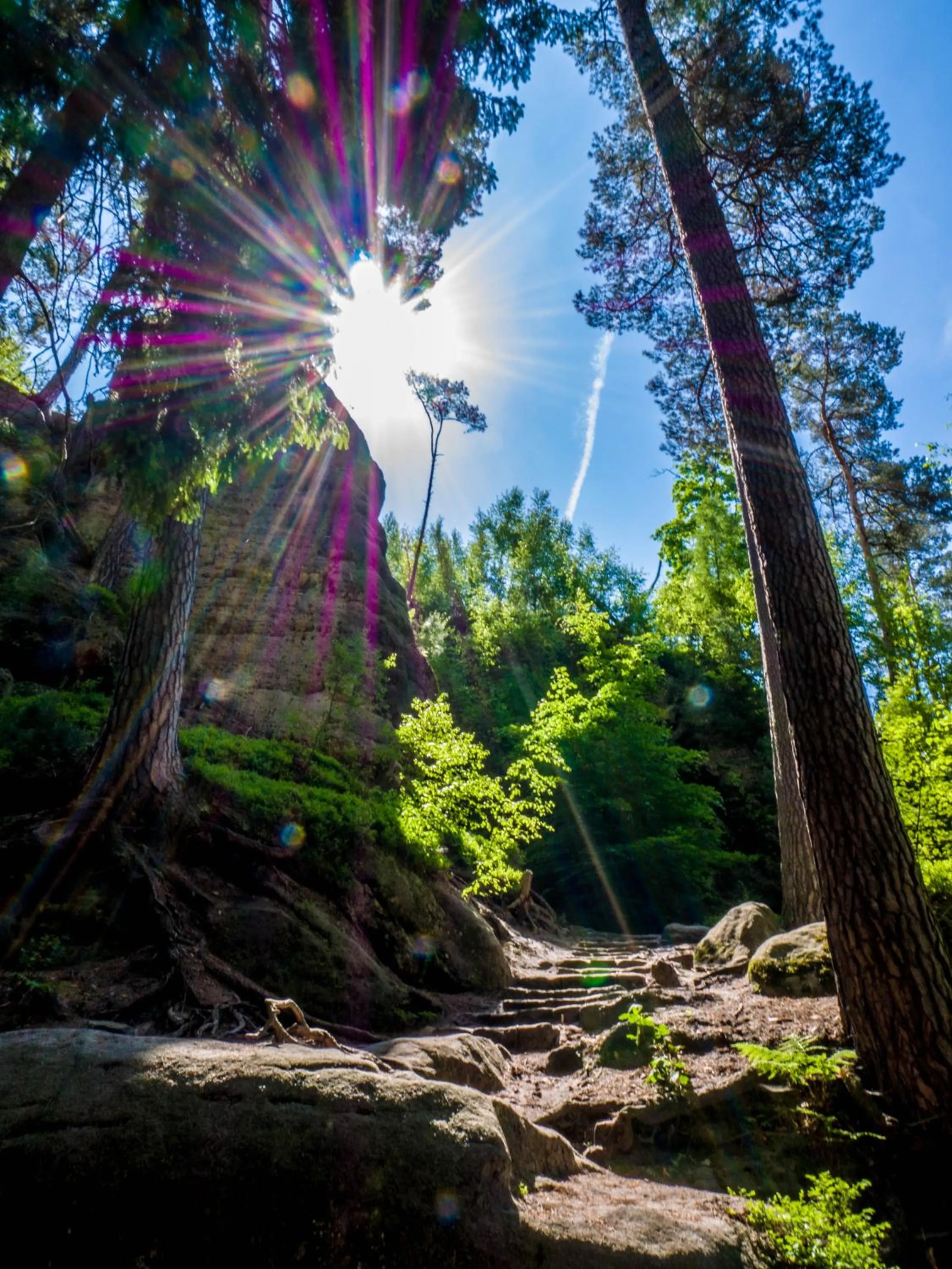Hiking in Hotel Elbpromenade