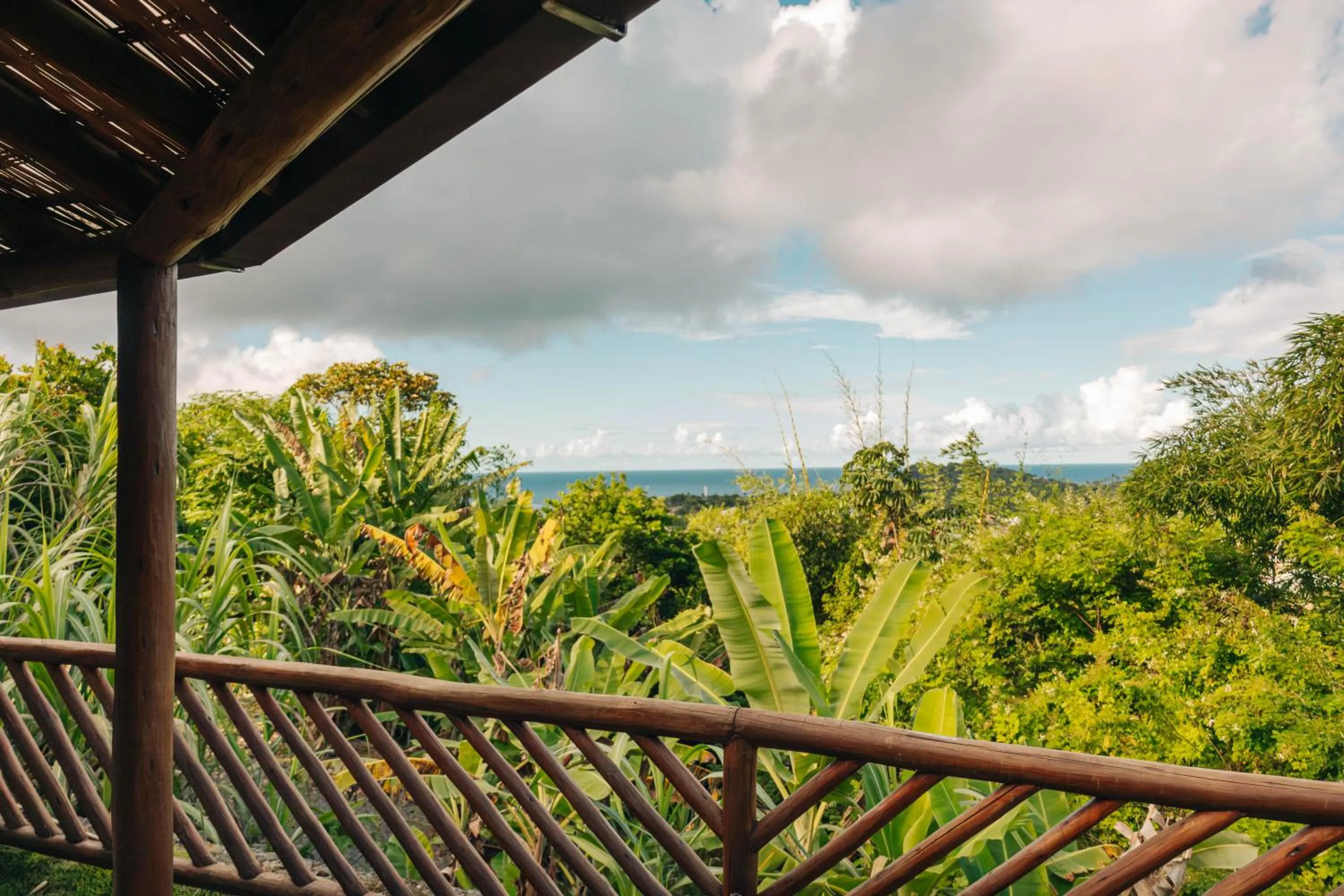 View (from property/room) in Chocolate Hotel