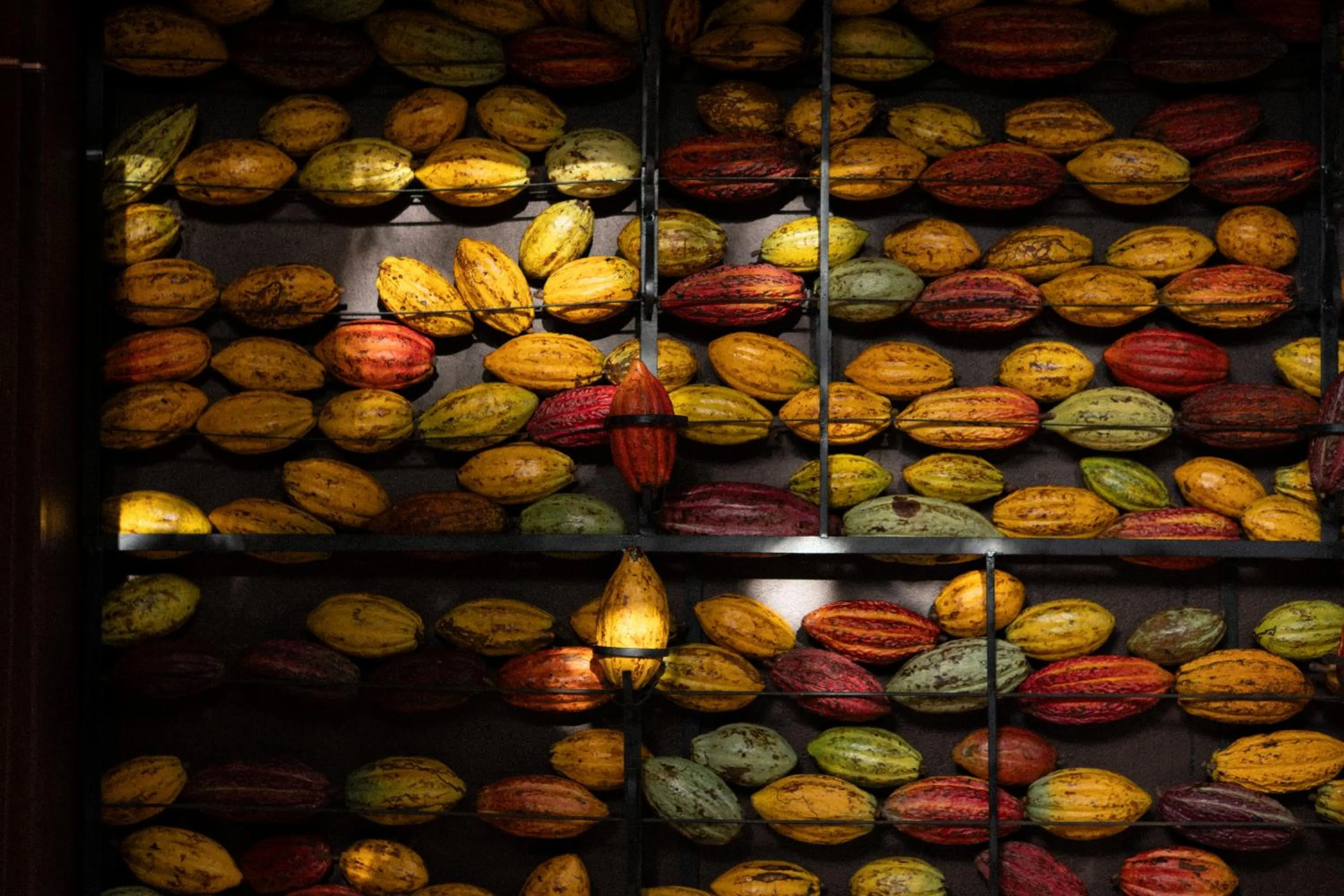 Facade/entrance in Chocolate Hotel