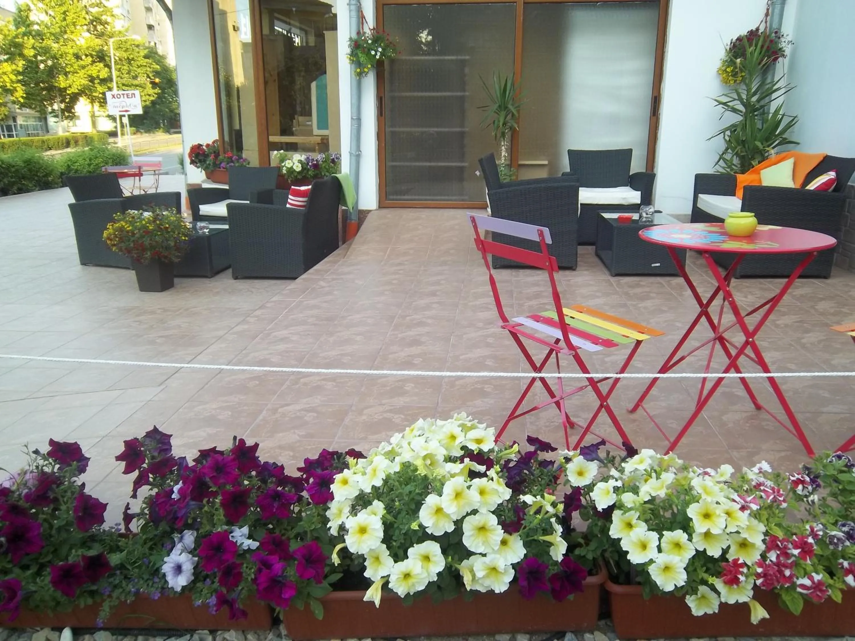 Garden in Hotel GabriSa