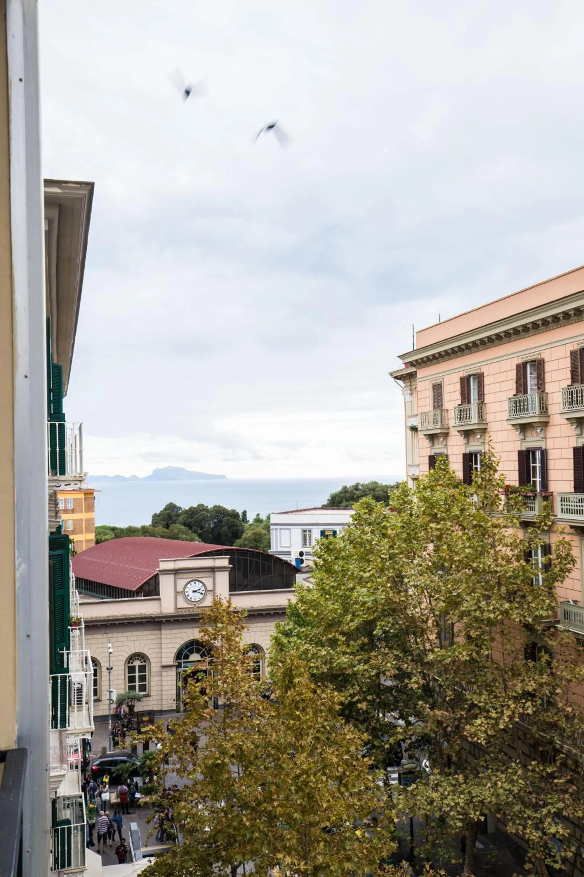 Bernini 20