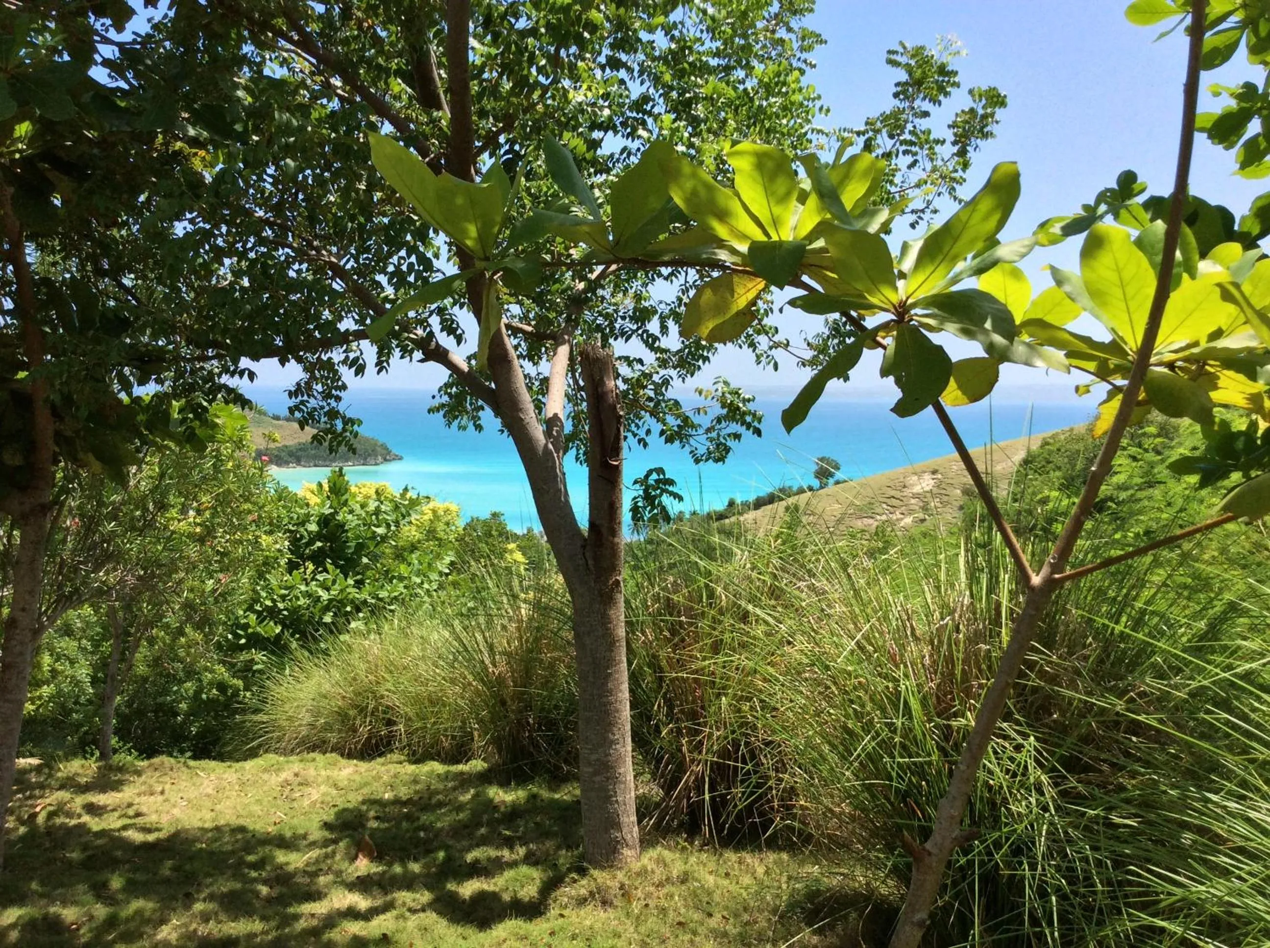 Garden in Suites la Colline